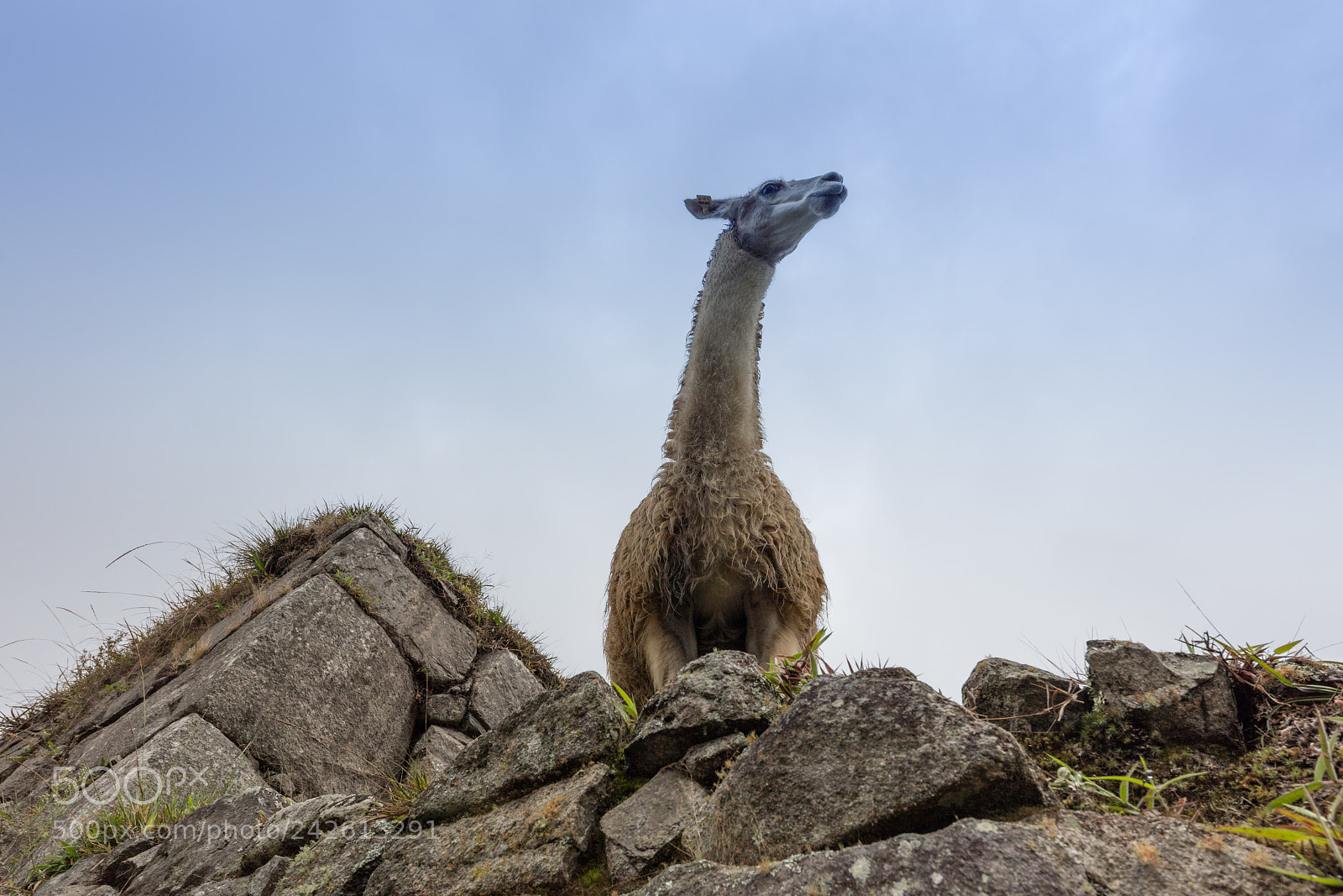 Canon EOS 5DS R sample photo. Machu picchu , peru, photography