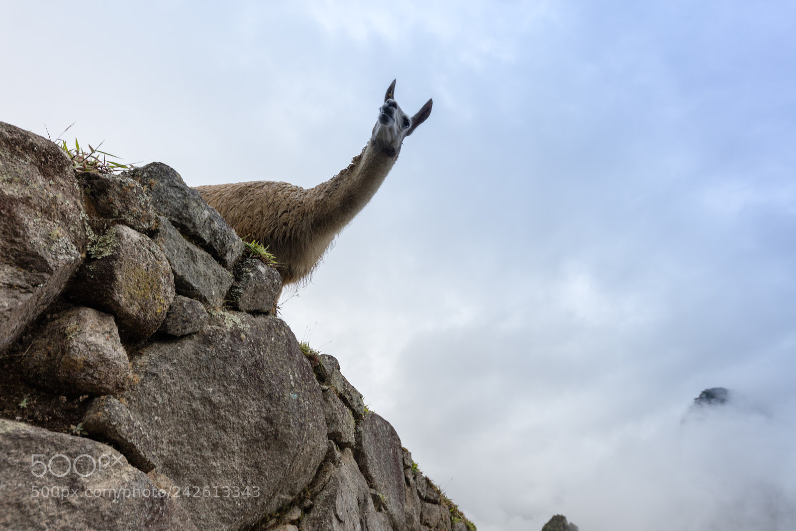 Canon EOS 5DS R sample photo. Machu picchu , peru, photography