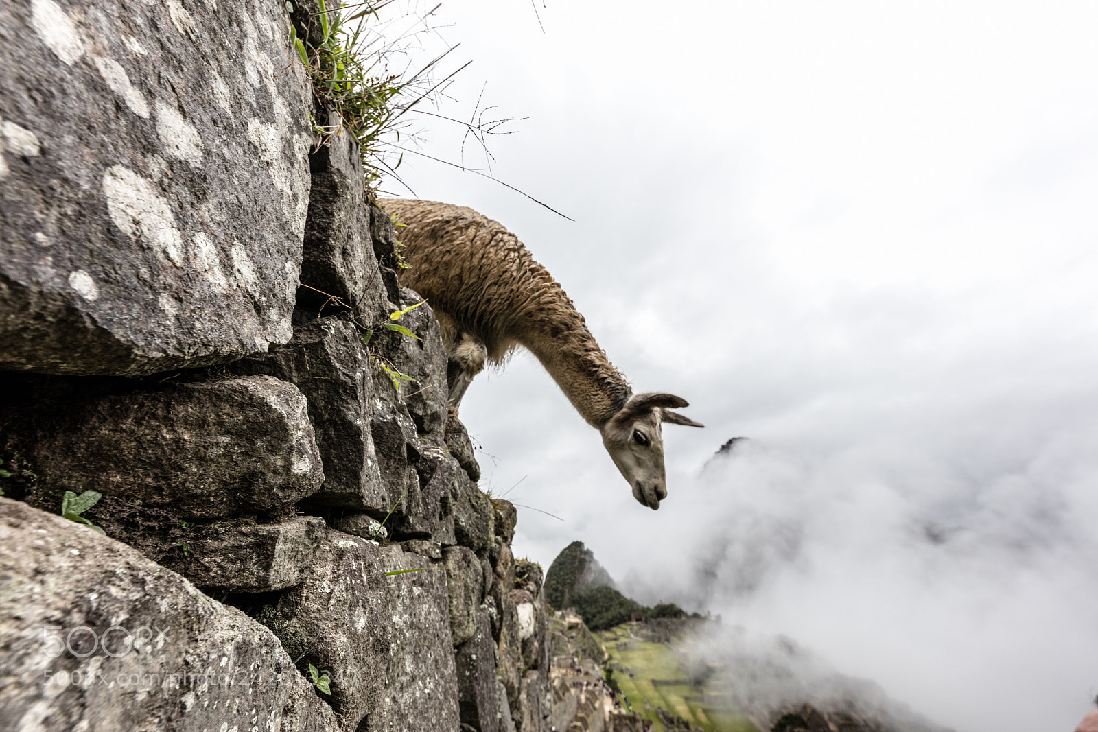 Canon EOS 5DS R sample photo. Machu picchu , peru, photography