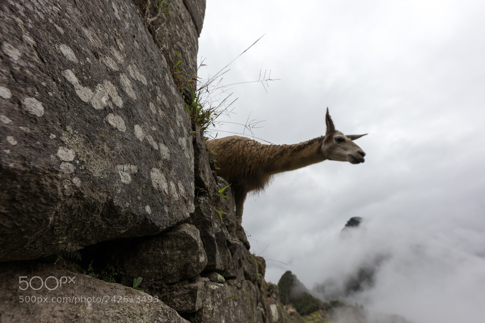 Canon EOS 5DS R sample photo. Machu picchu , peru, photography