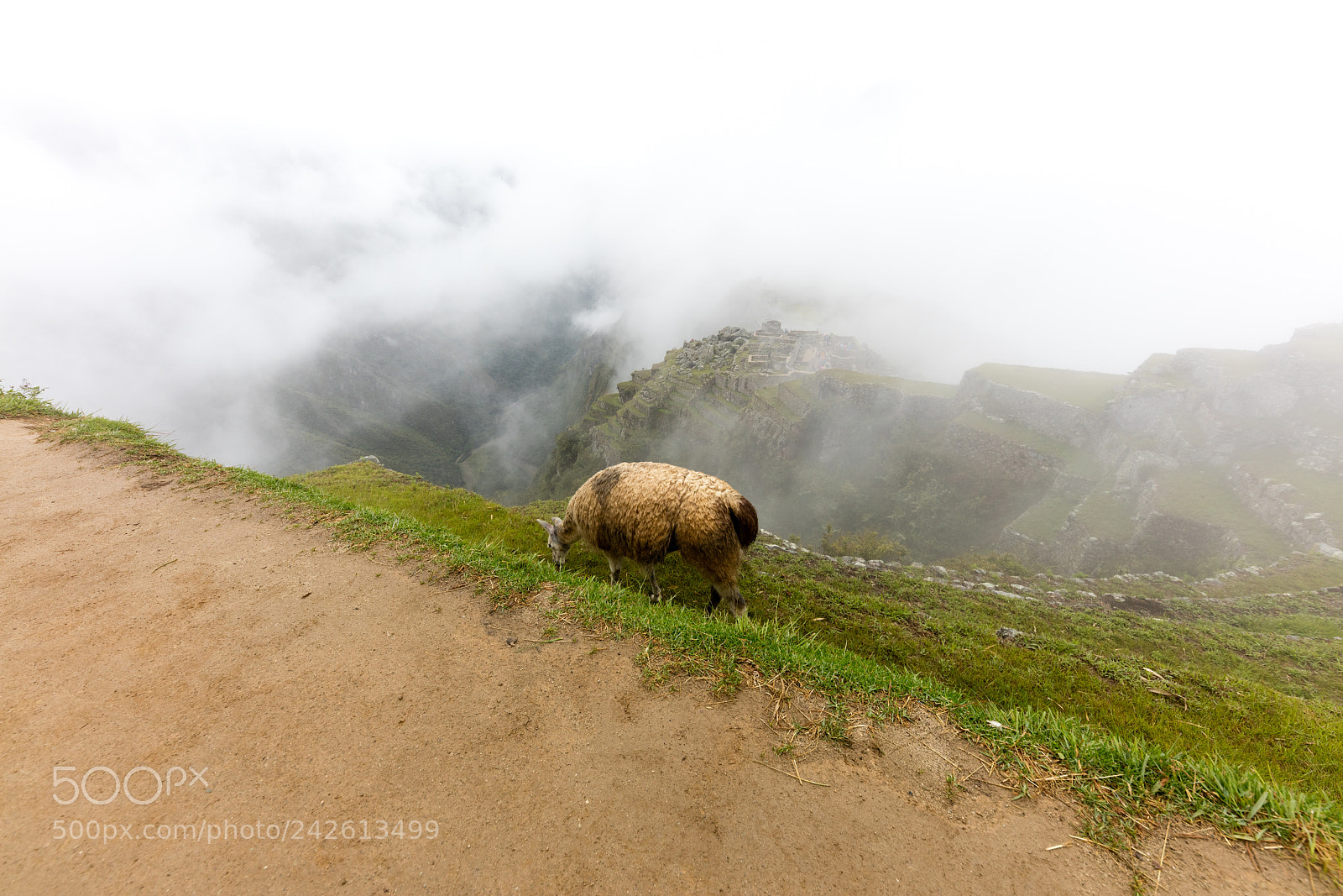 Canon EOS 5DS R sample photo. Machu picchu , peru, photography