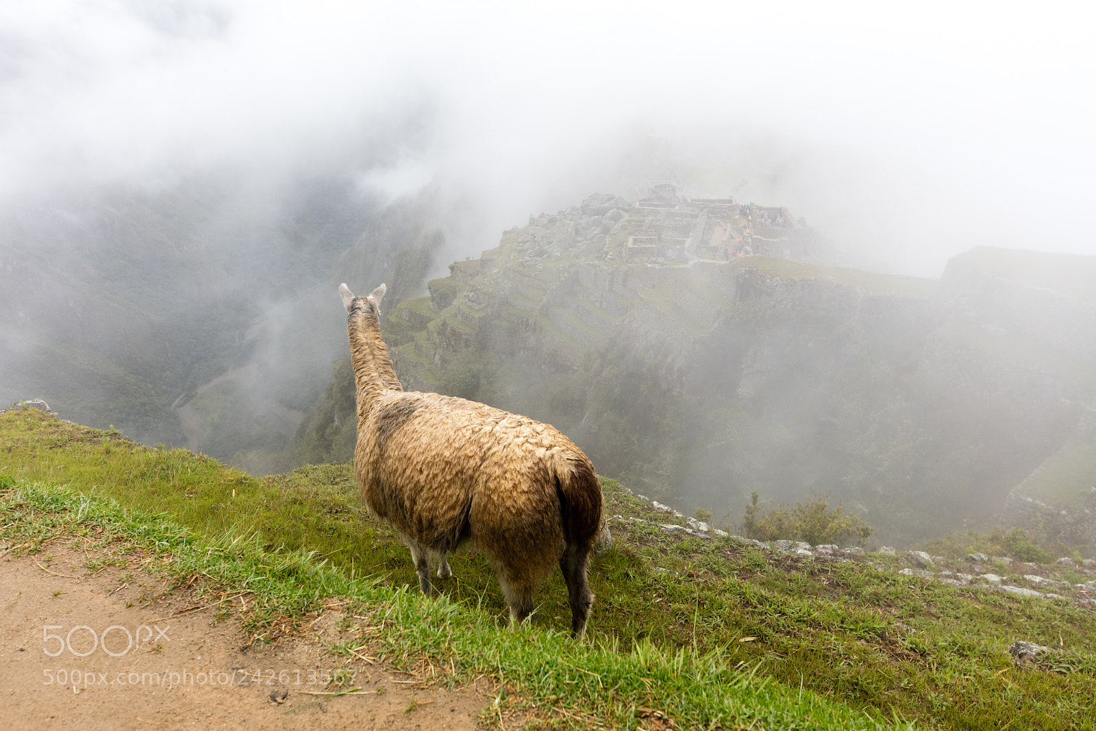 Canon EOS 5DS R sample photo. Machu picchu , peru, photography