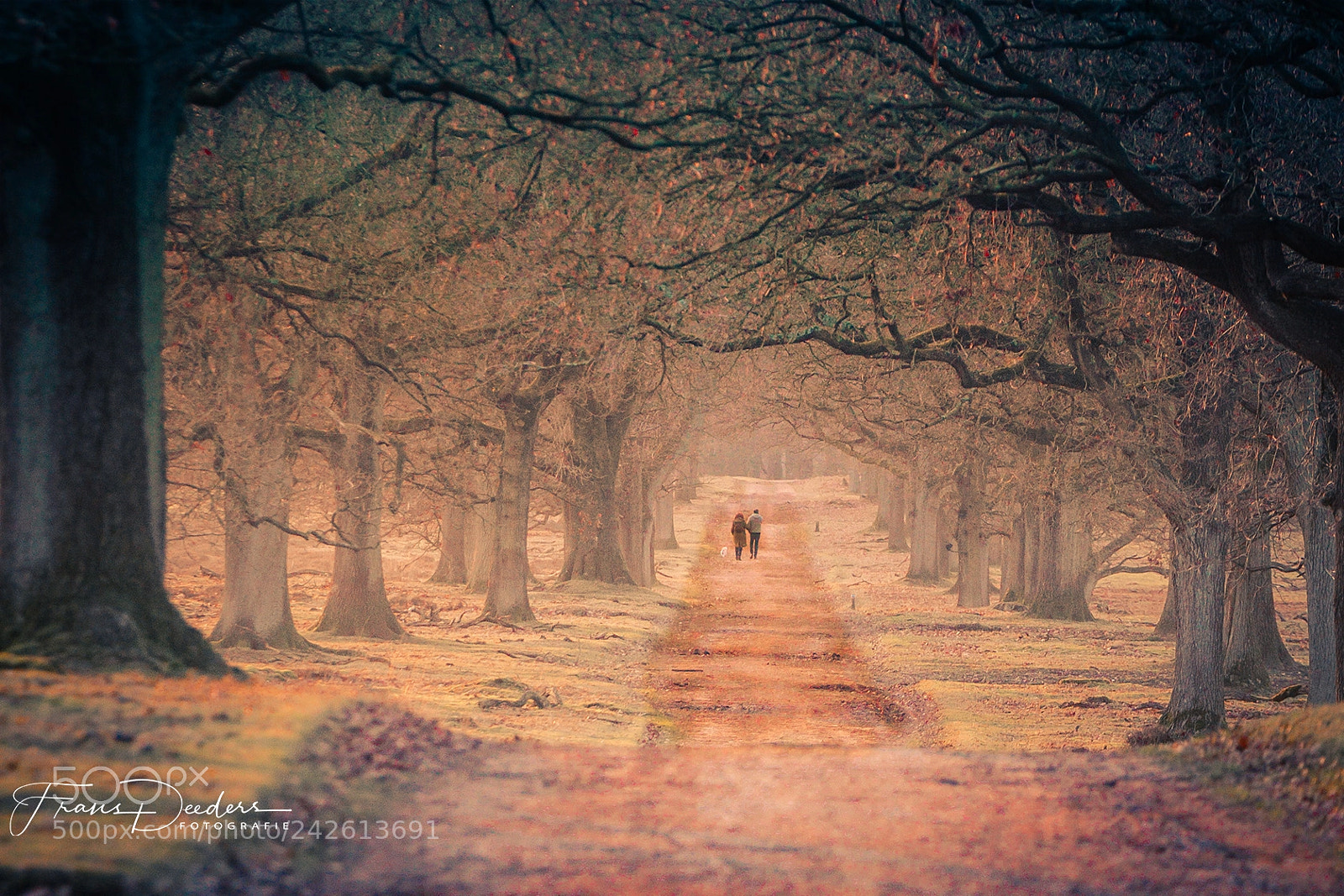 Canon EOS 7D Mark II sample photo. Leaving the path photography