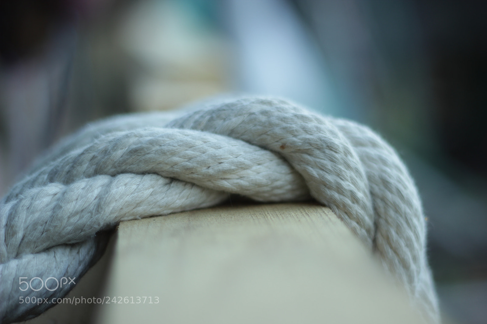 Canon EOS 550D (EOS Rebel T2i / EOS Kiss X4) + Canon EF 50mm F1.8 II sample photo. Rope photography