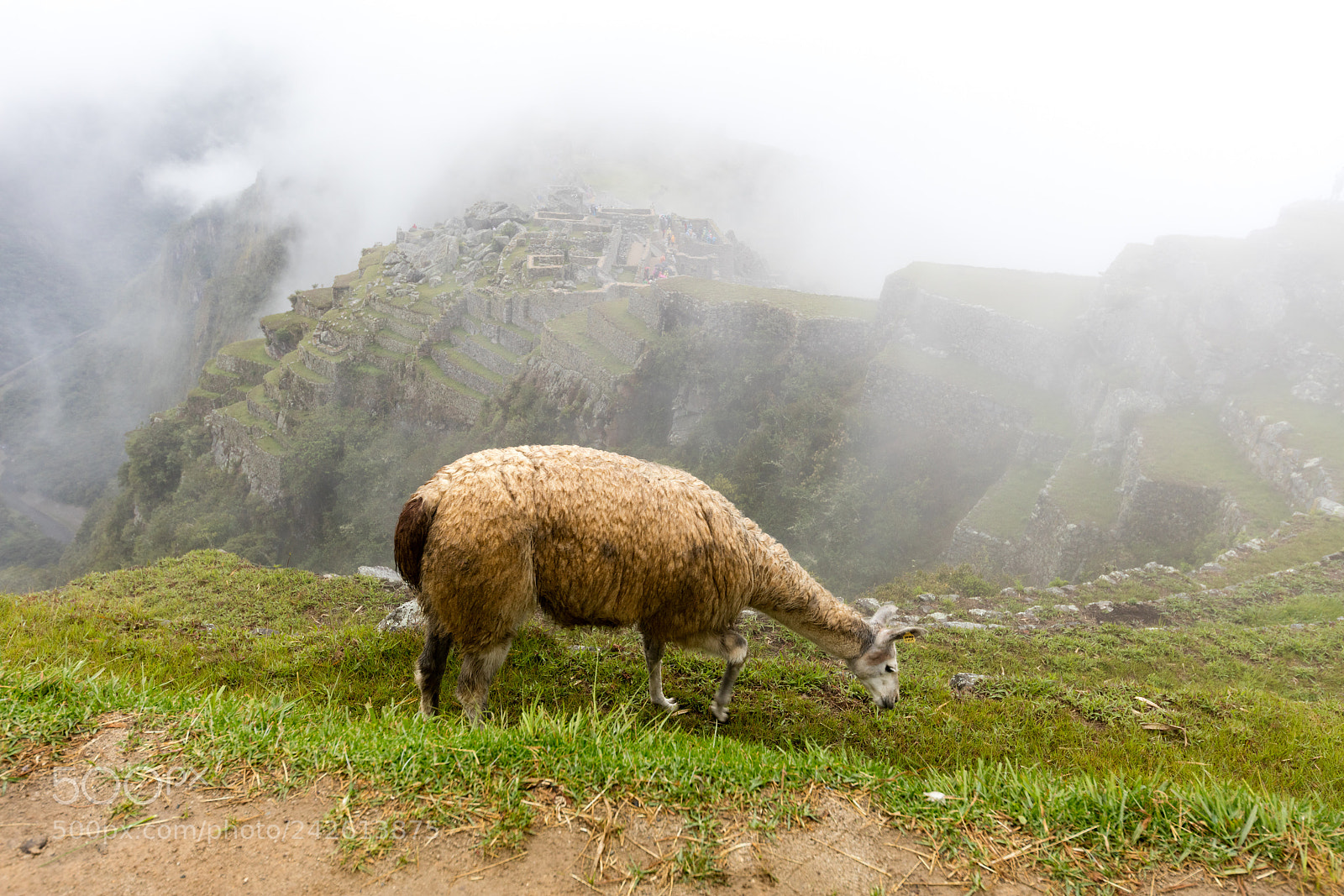 Canon EOS 5DS R sample photo. Machu picchu , peru, photography