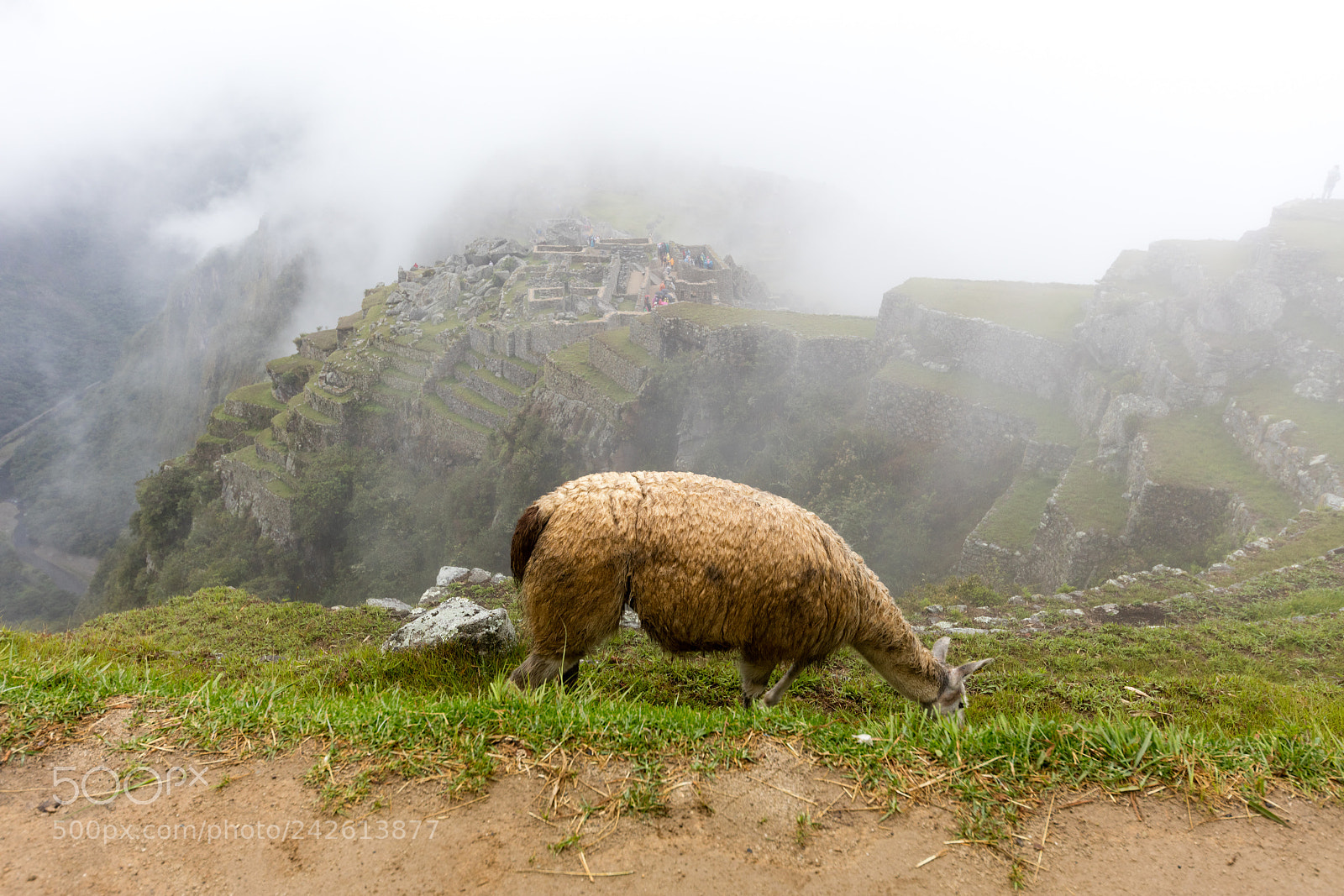 Canon EOS 5DS R sample photo. Machu picchu , peru, photography