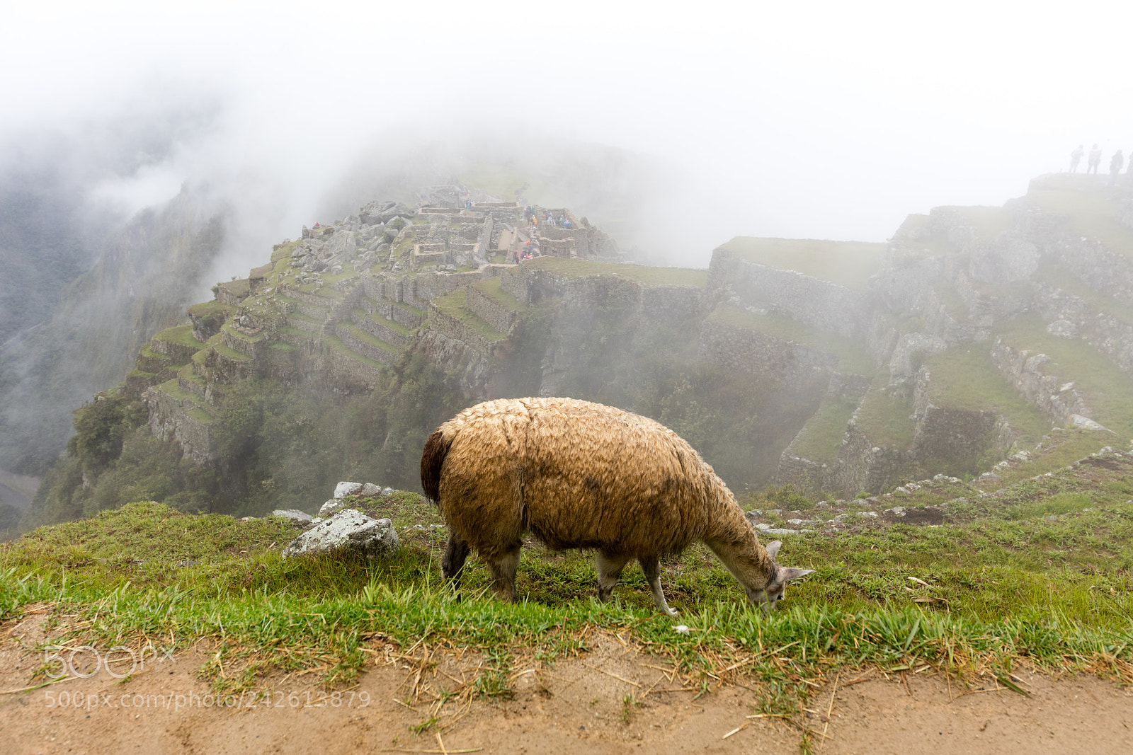 Canon EOS 5DS R sample photo. Machu picchu , peru, photography