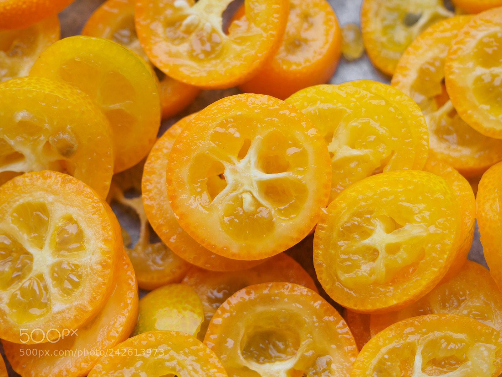 Olympus OM-D E-M10 sample photo. Kumquat photography