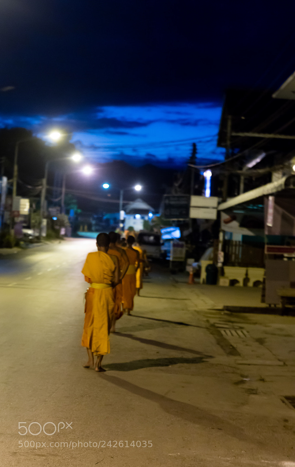 Canon EOS 5DS R sample photo. Tak bat in laos photography