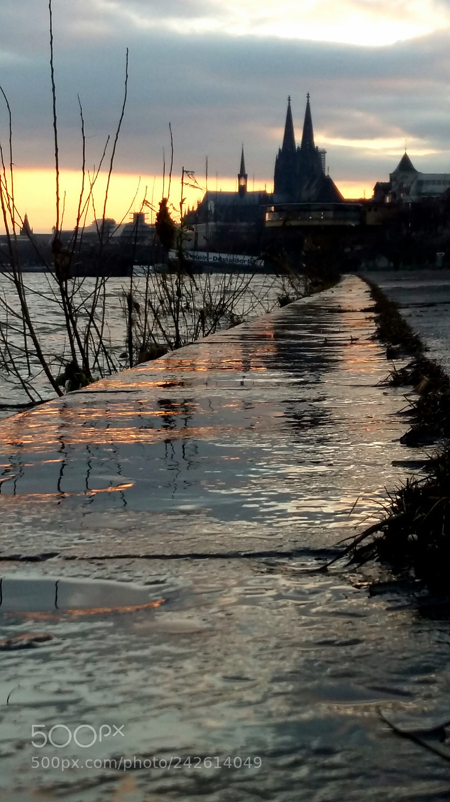 Samsung Galaxy A5 sample photo. Cologne water photography