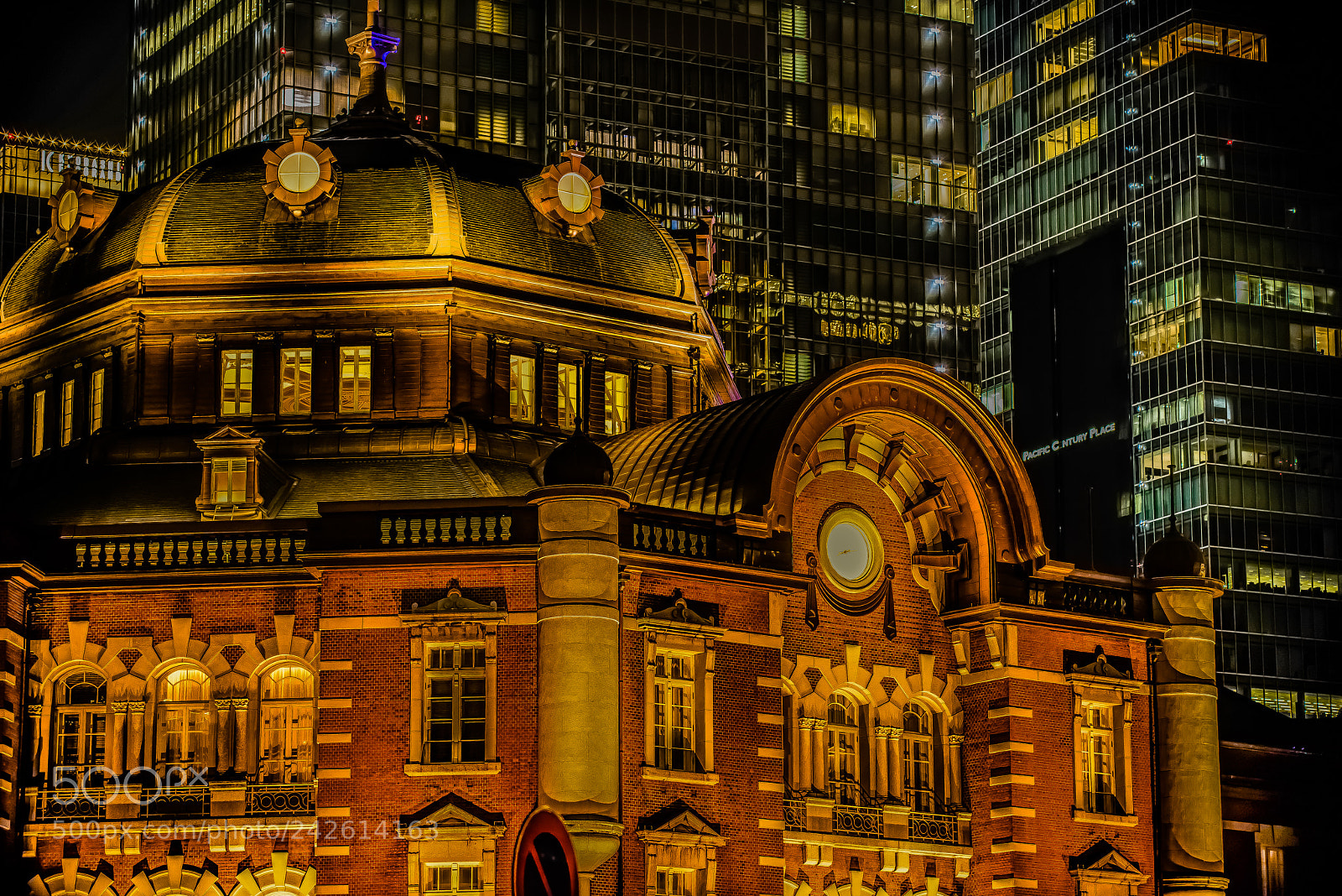 Nikon D810 sample photo. Tokyo station photography