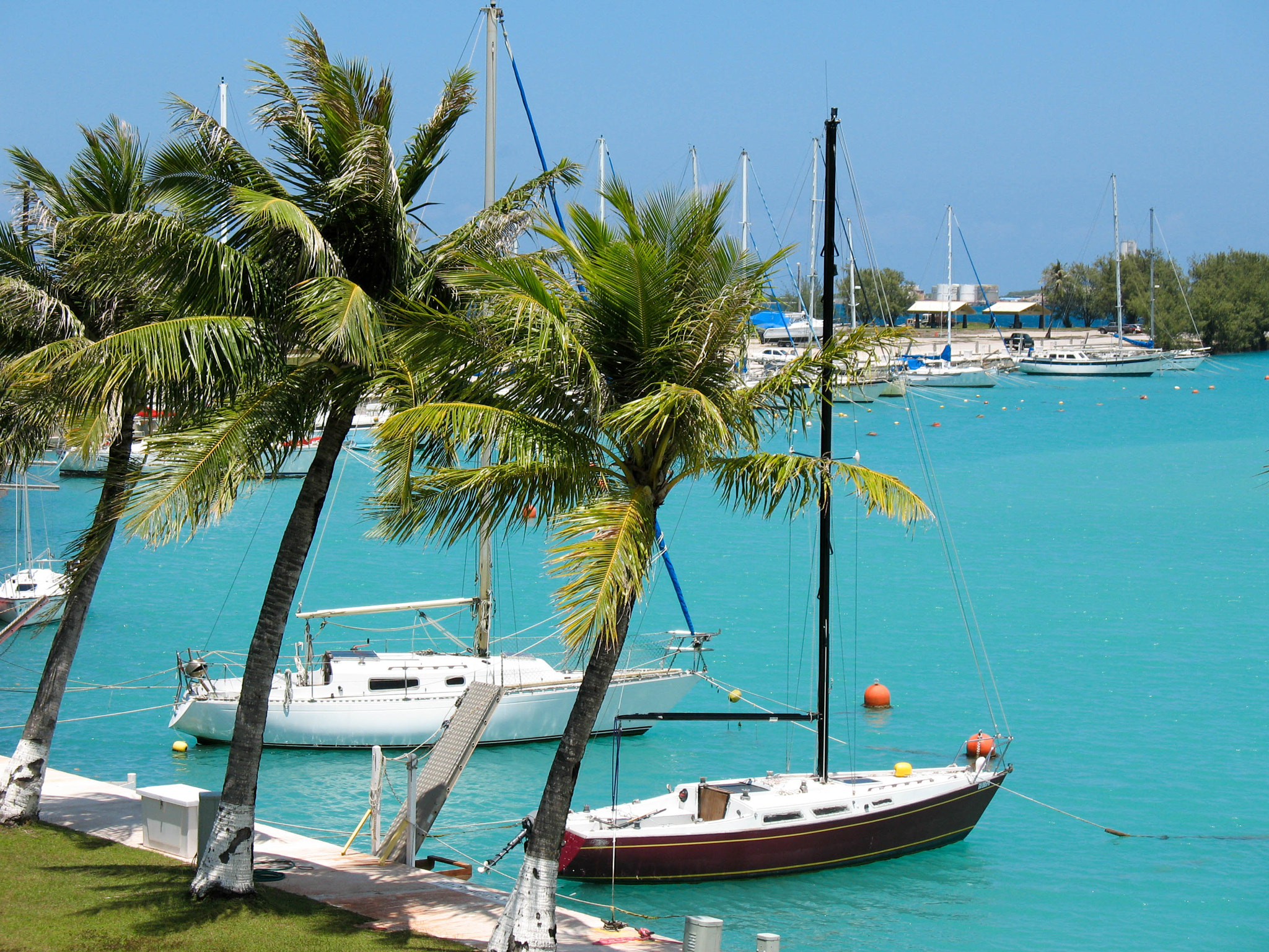 Canon POWERSHOT A630 sample photo. Sailboats photography