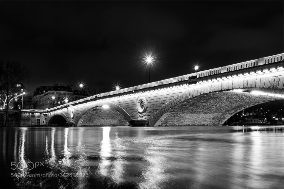 Fujifilm X-Pro1 sample photo. Au pied du pont photography