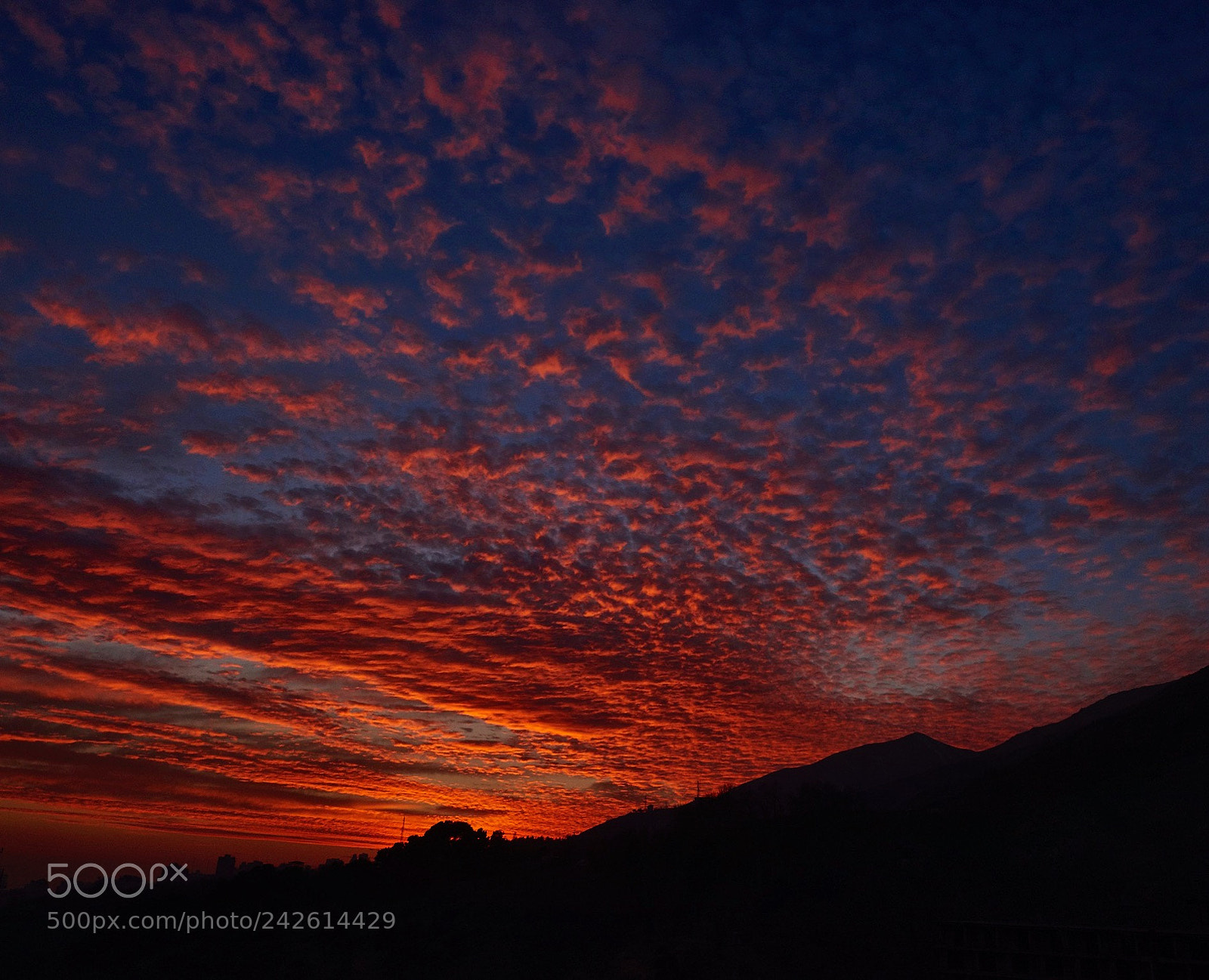 Nikon D810 sample photo. Sunset photography