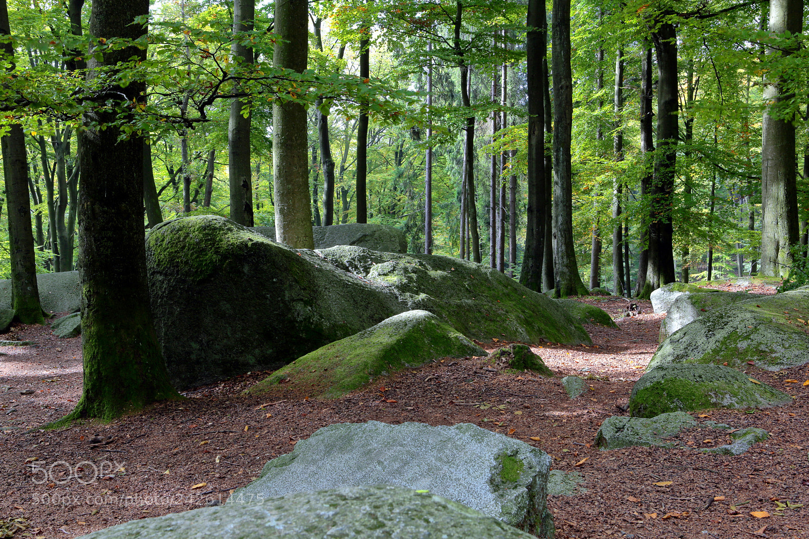 Canon EF 24-70mm F2.8L USM sample photo. Felsenmeer photography