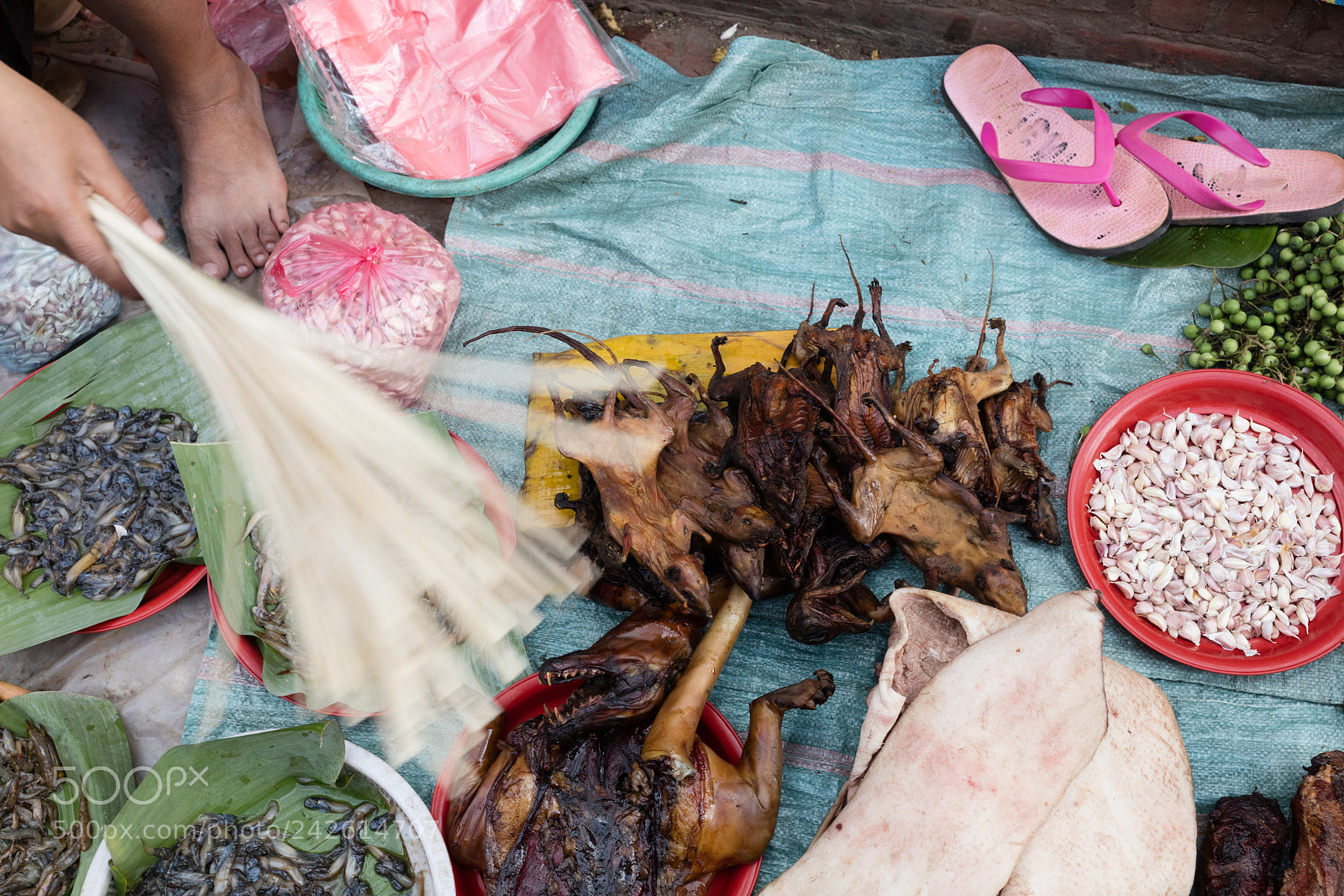 Canon EOS 5DS R sample photo. Rats at market photography