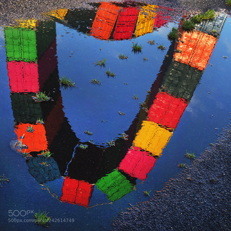 Olympus OM-D E-M1 Mark II sample photo. Reflection on the asphalt photography