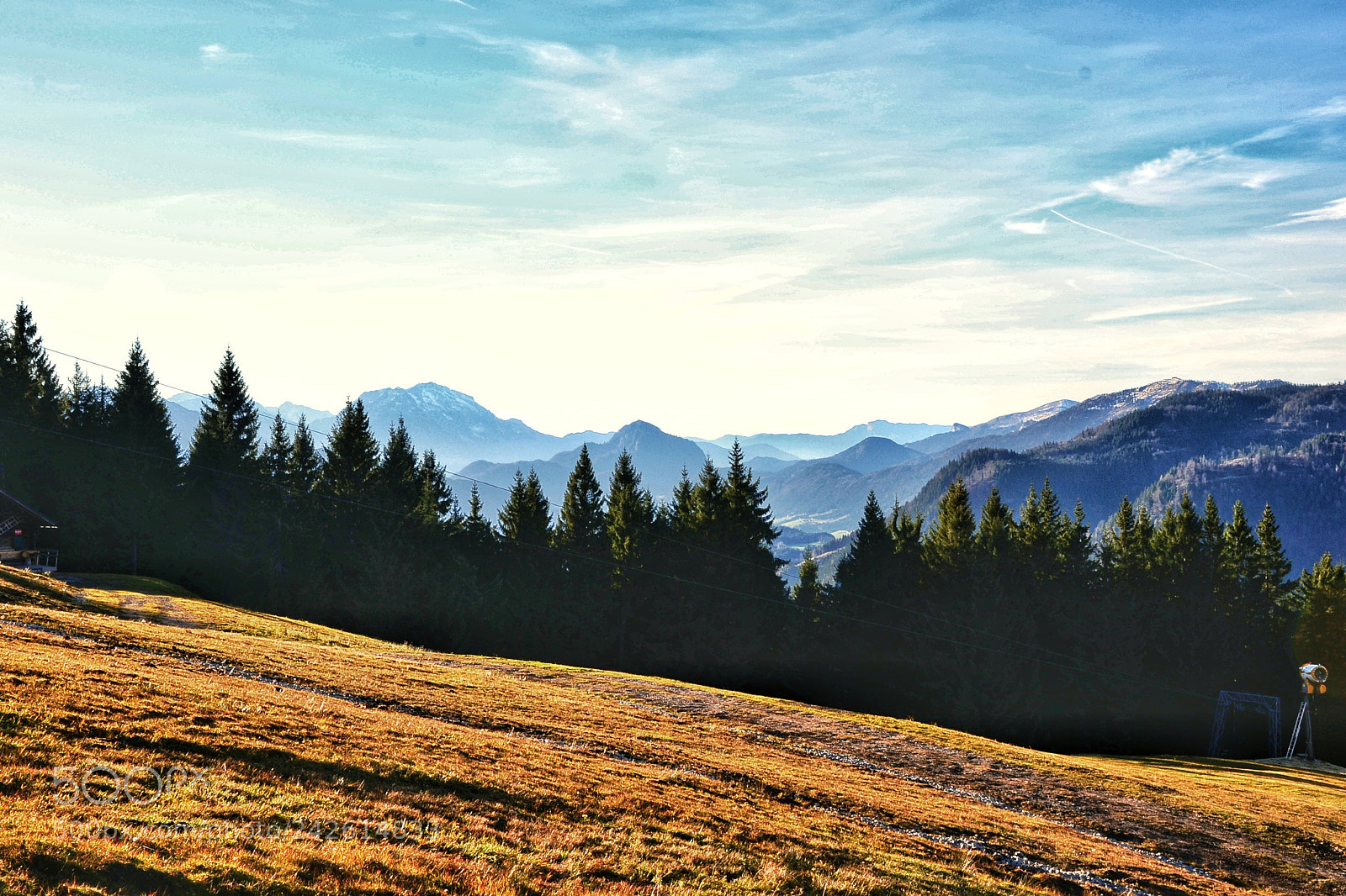 Nikon D3100 sample photo. Untitled photography