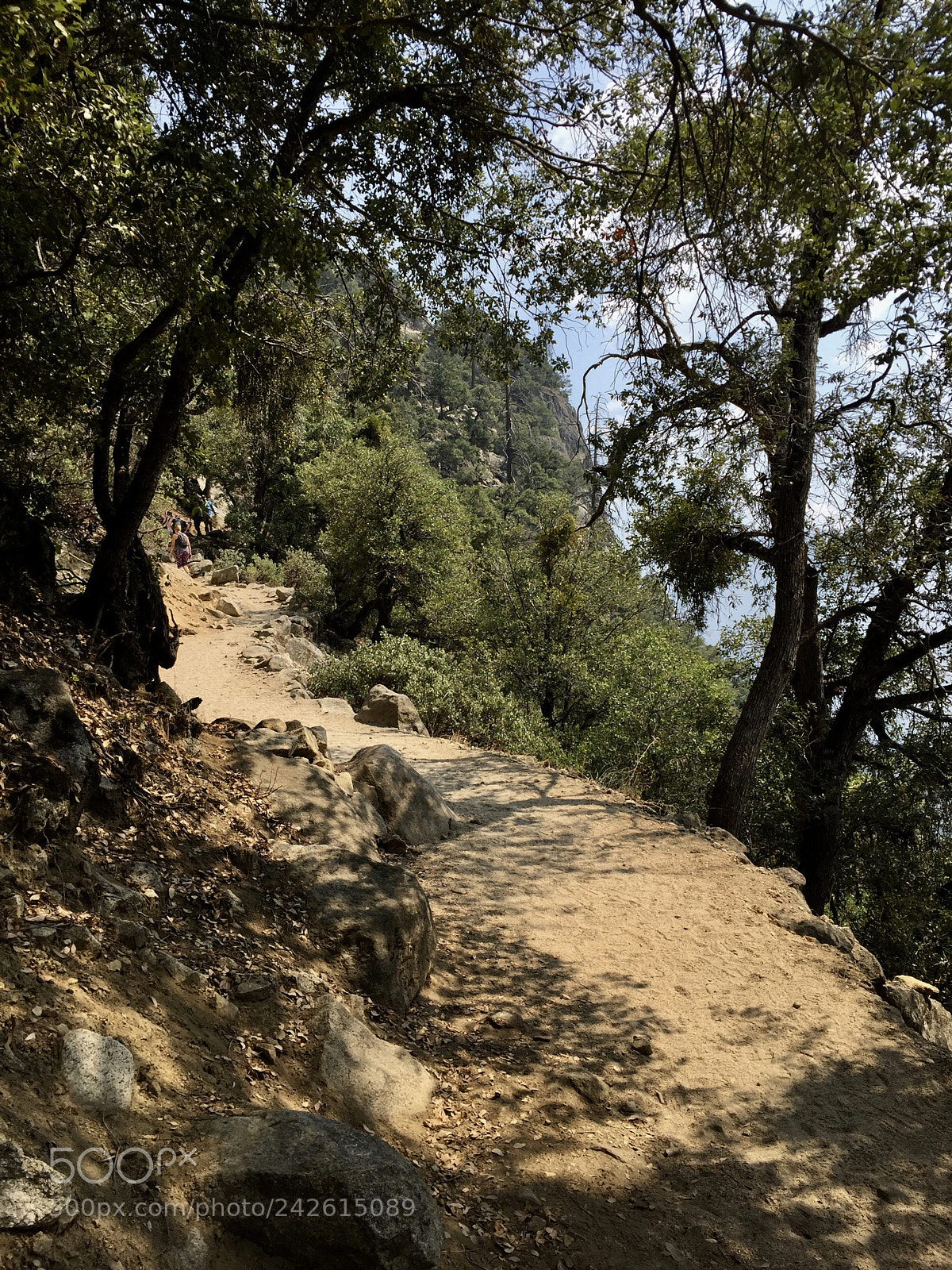 Apple iPhone 6 sample photo. Yosemite - upper yosemite photography