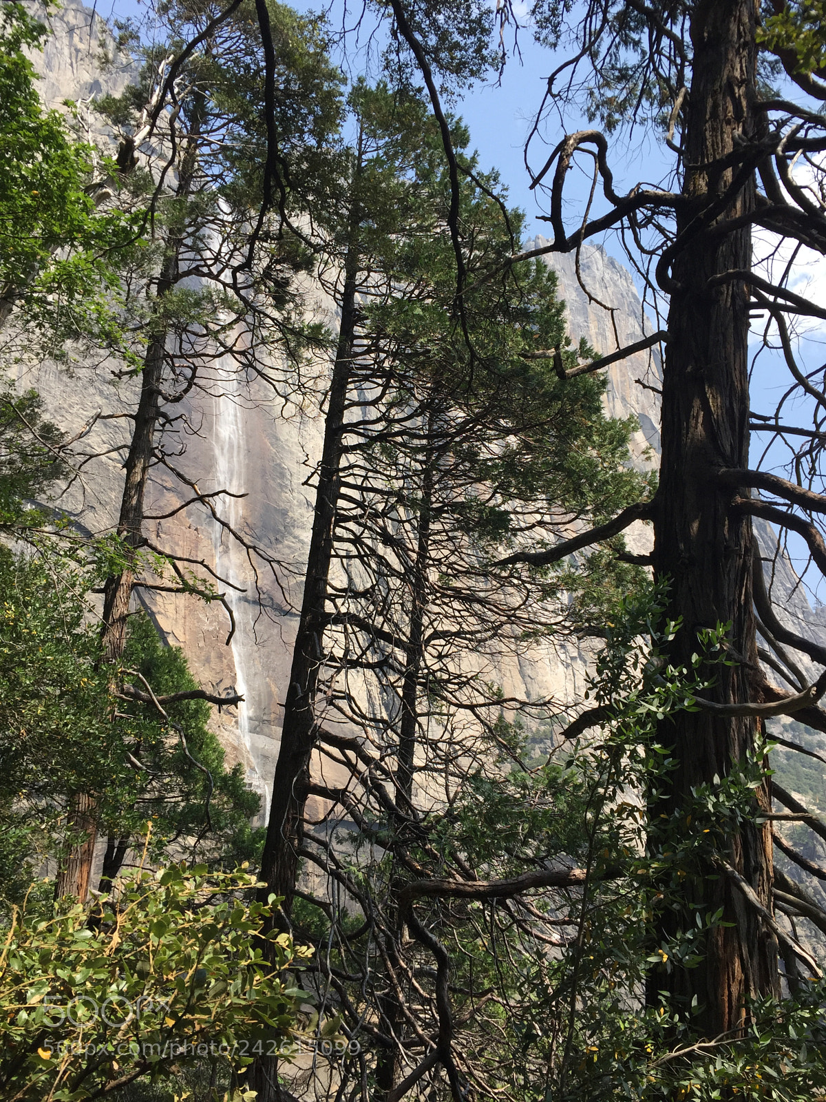 Apple iPhone 6 sample photo. Yosemite - upper yosemite photography
