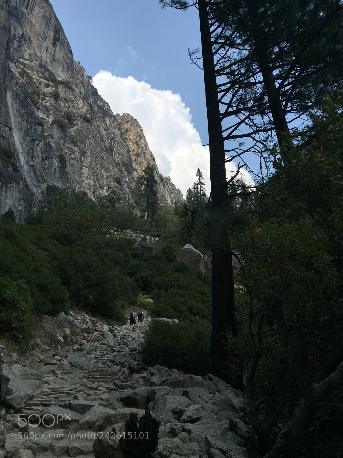 Apple iPhone 6 sample photo. Yosemite - upper yosemite photography