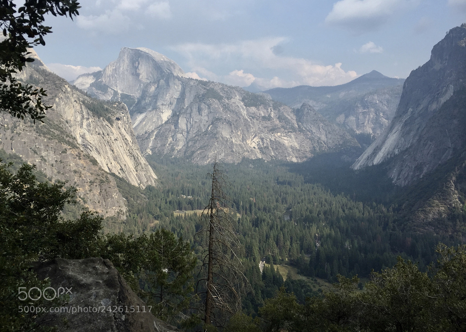 Apple iPhone 6 sample photo. Yosemite - upper yosemite photography