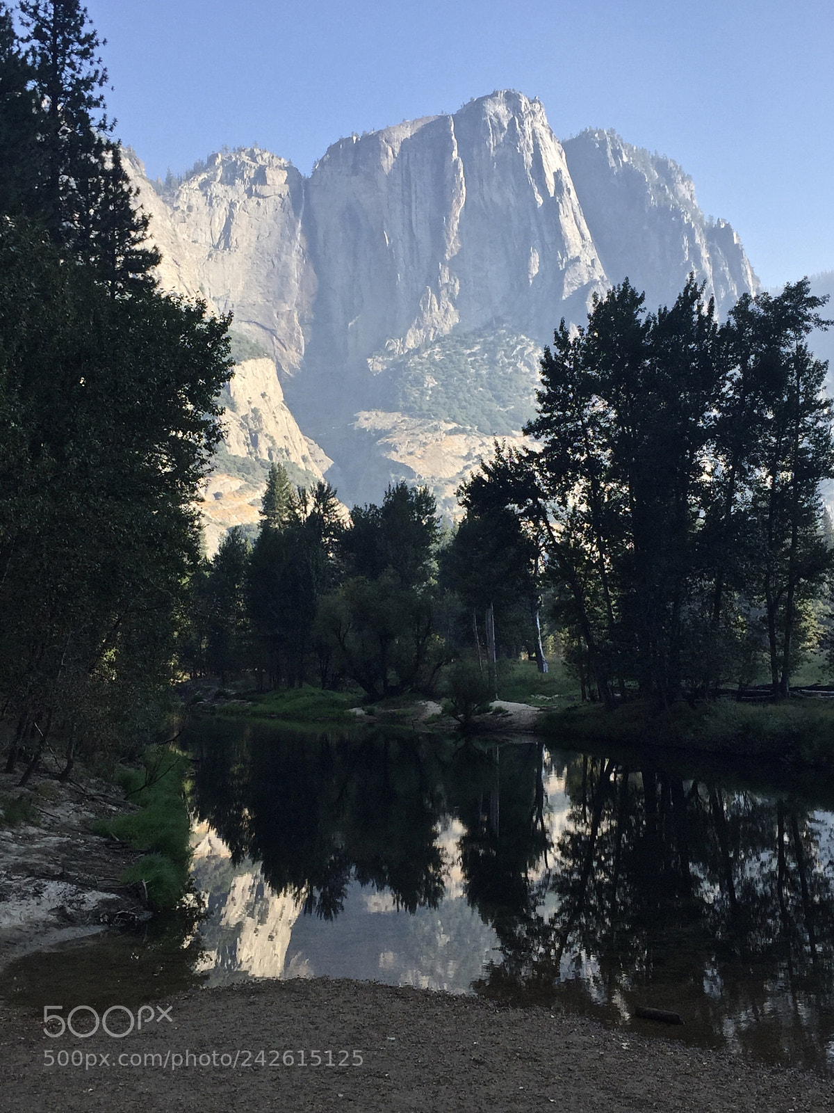 Apple iPhone 6 sample photo. Yosemite - 4 mile trail photography