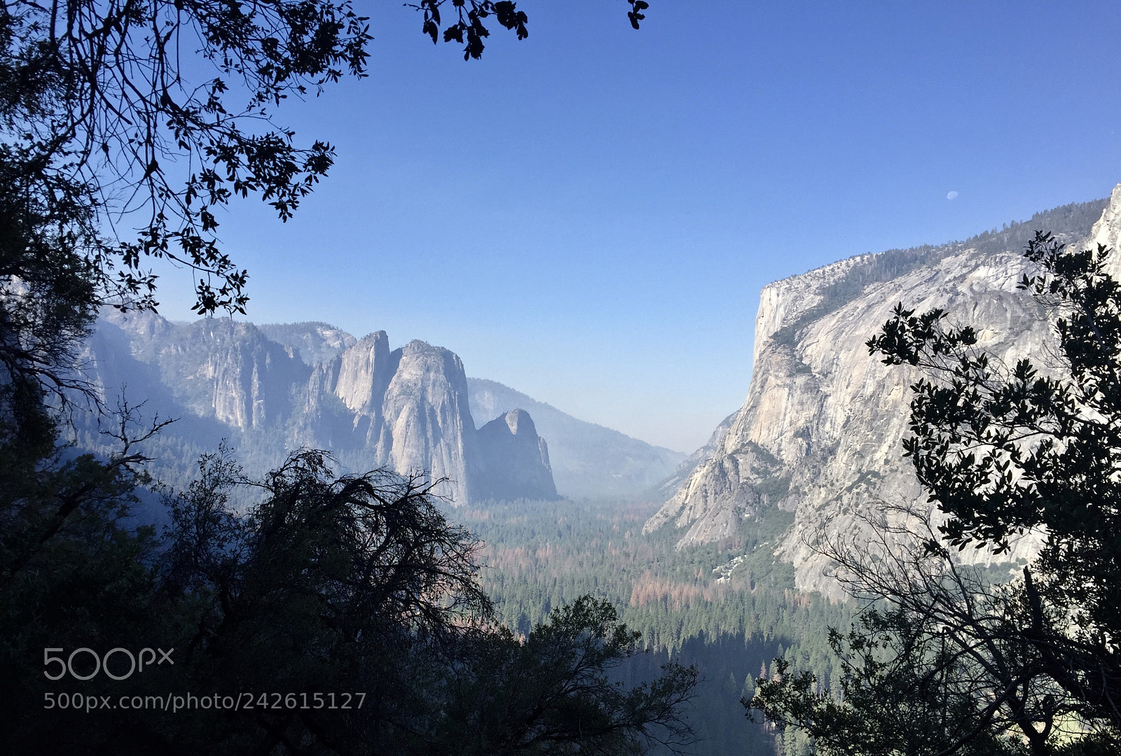 Apple iPhone 6 sample photo. Yosemite - 4 mile trail photography