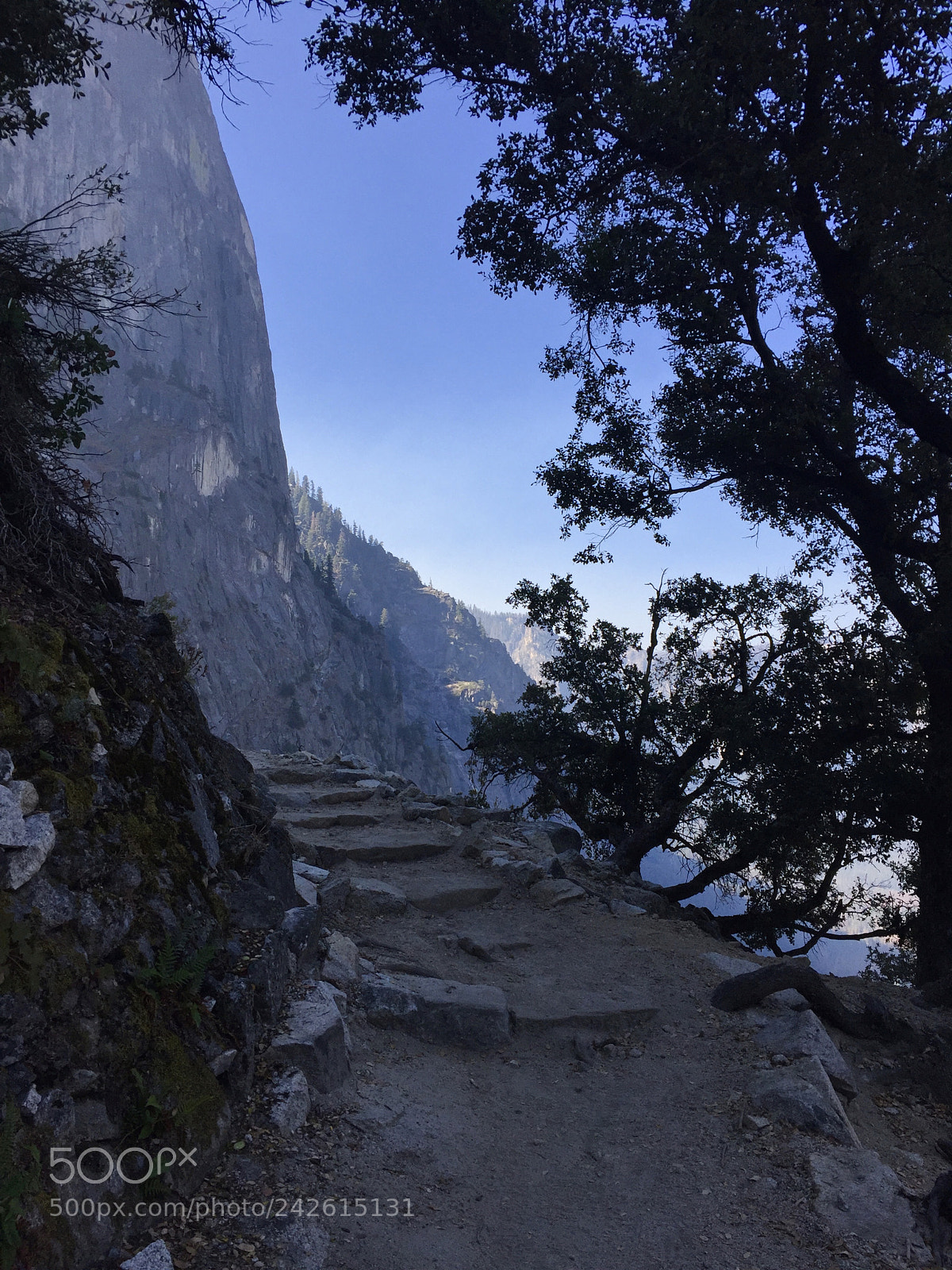 Apple iPhone 6 sample photo. Yosemite - 4 mile trail photography