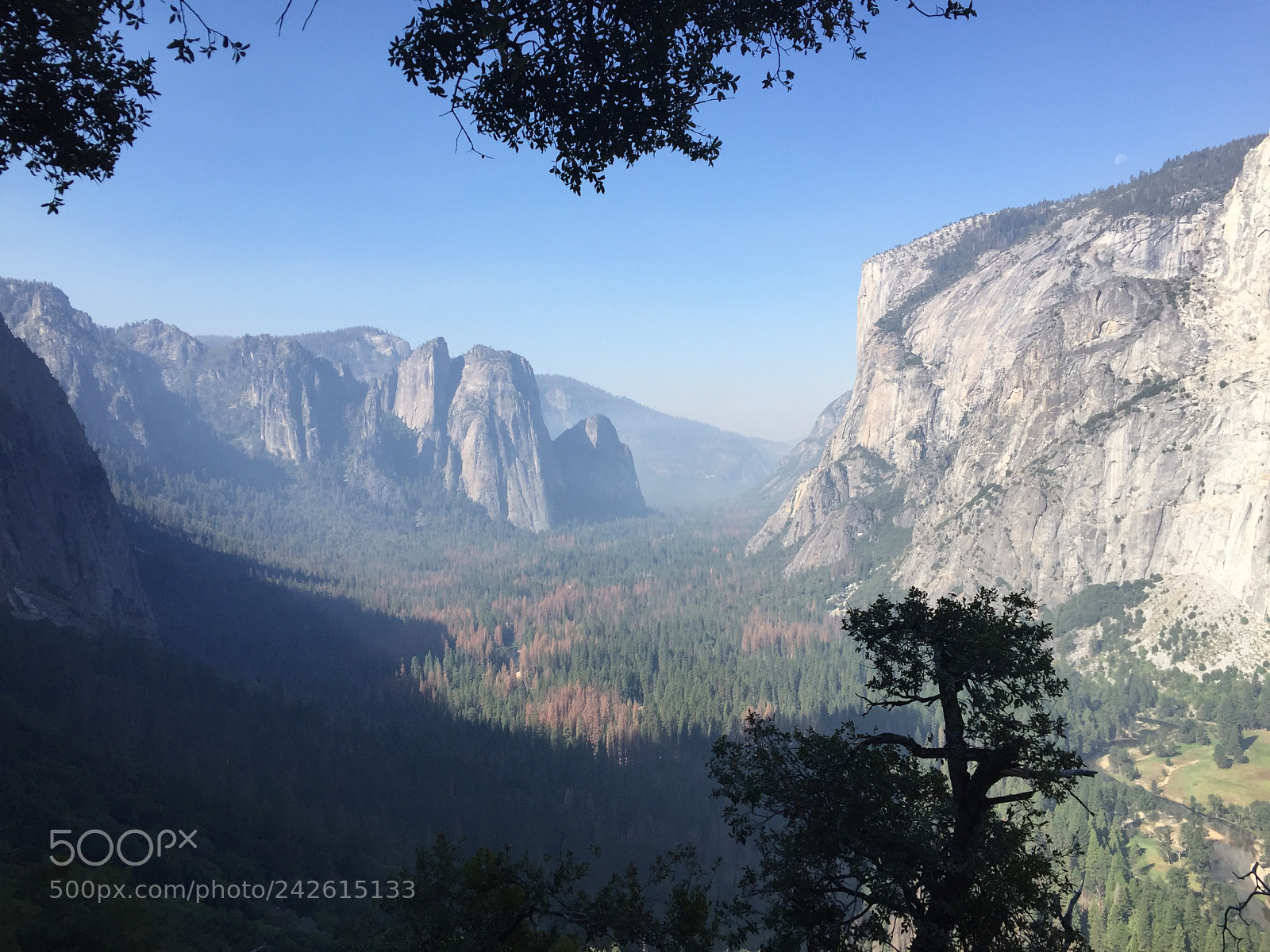 Apple iPhone 6 sample photo. Yosemite - 4 mile trail photography