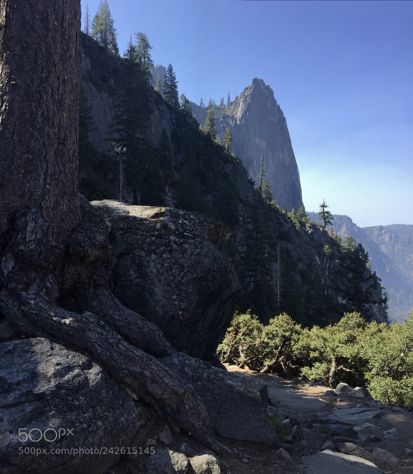 Apple iPhone 6 sample photo. Yosemite - 4 mile trail photography
