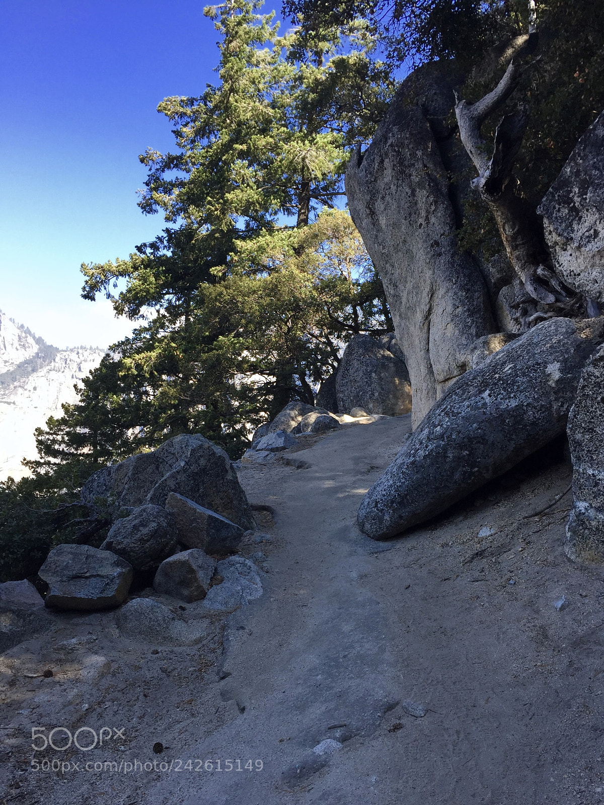 Apple iPhone 6 sample photo. Yosemite - 4 mile trail photography