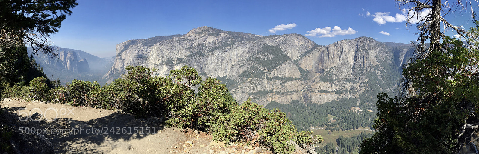 Apple iPhone 6 sample photo. Yosemite - 4 mile trail photography