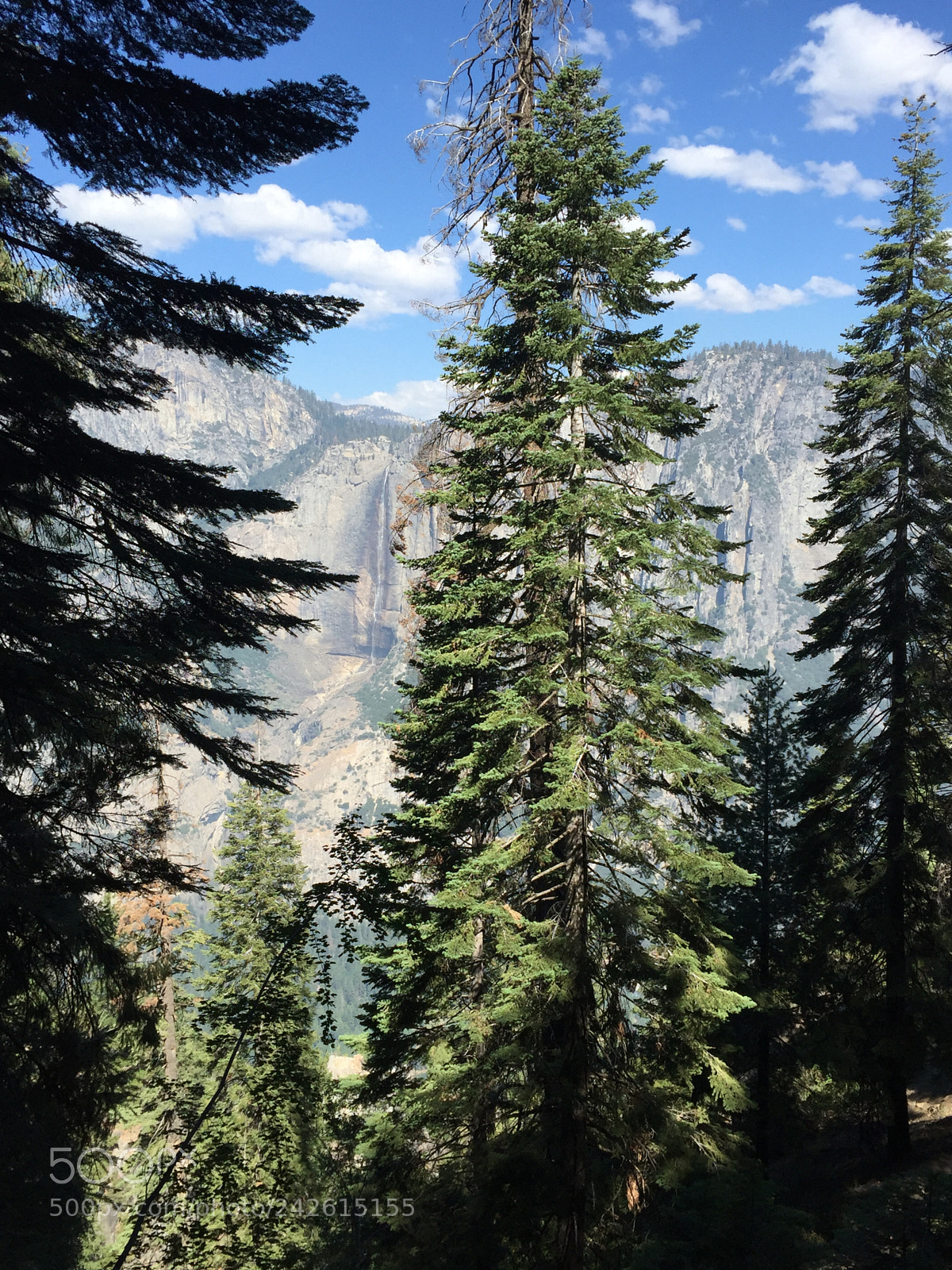 Apple iPhone 6 sample photo. Yosemite - 4 mile trail photography