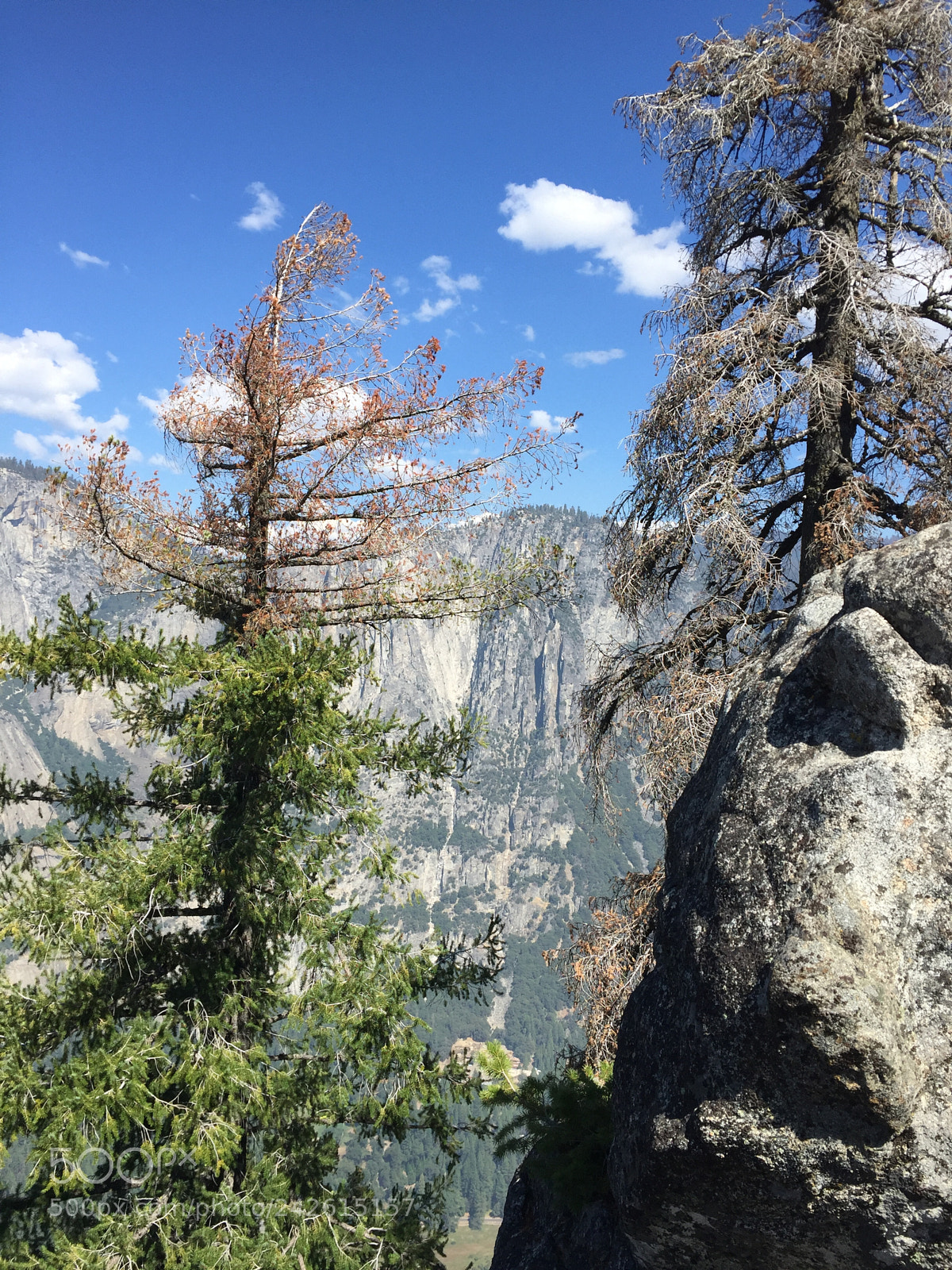 Apple iPhone 6 sample photo. Yosemite - 4 mile trail photography