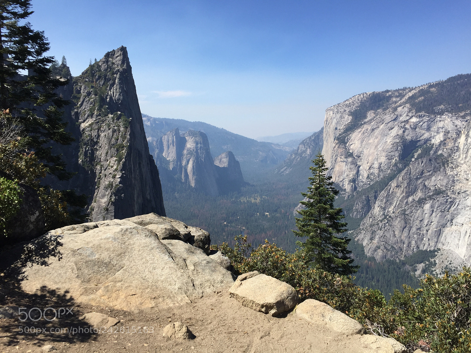 Apple iPhone 6 sample photo. Yosemite - 4 mile trail photography