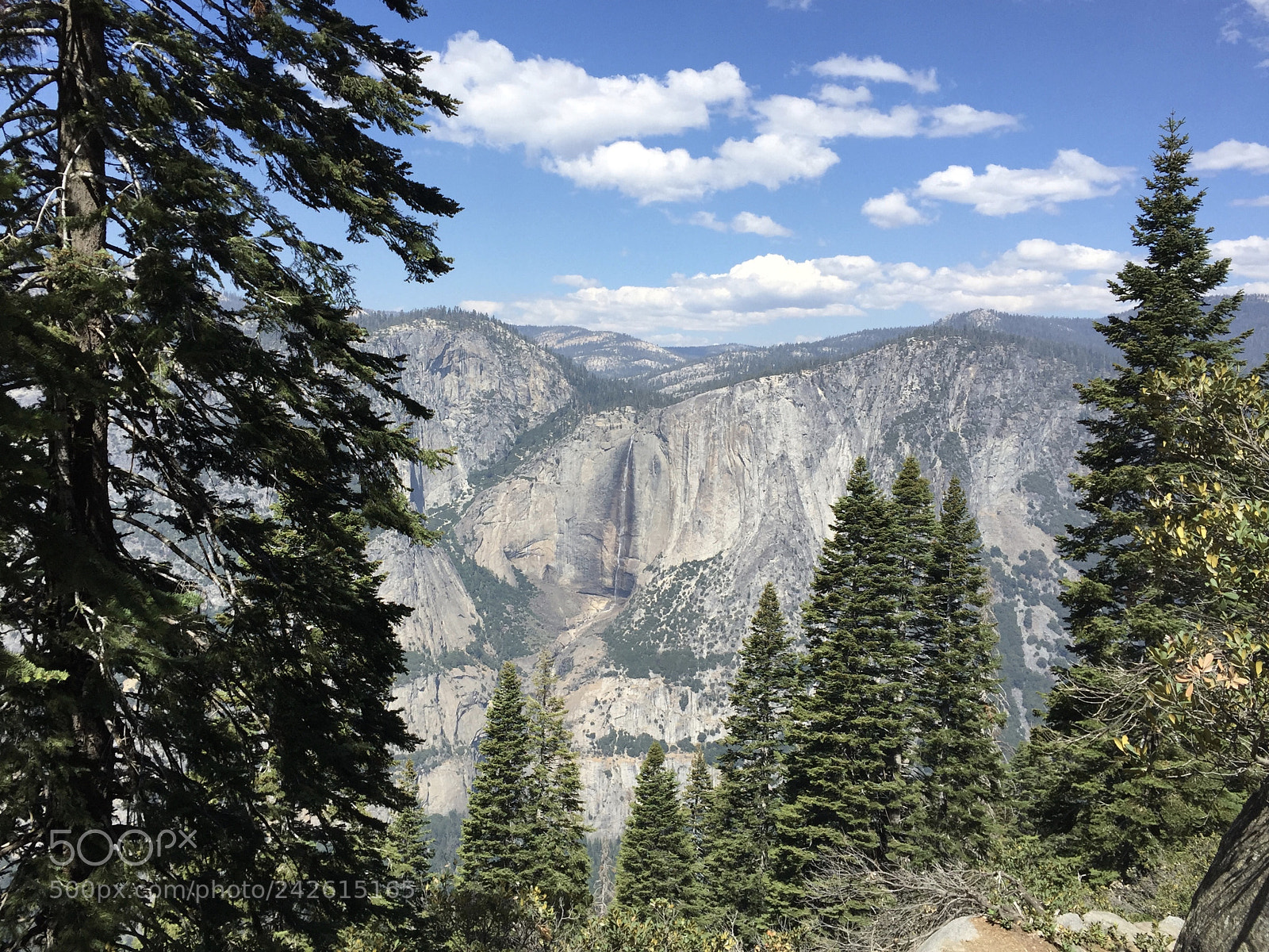Apple iPhone 6 sample photo. Yosemite - 4 mile trail photography