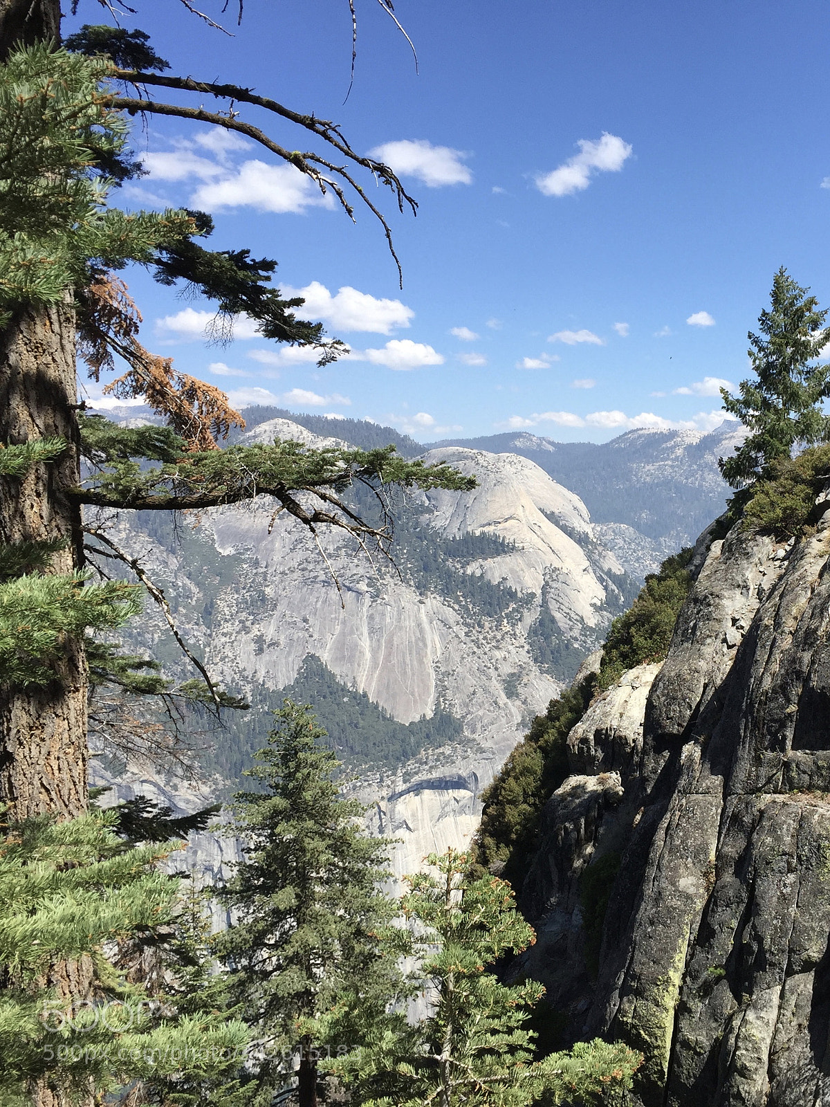Apple iPhone 6 sample photo. Yosemite - 4 mile trail photography