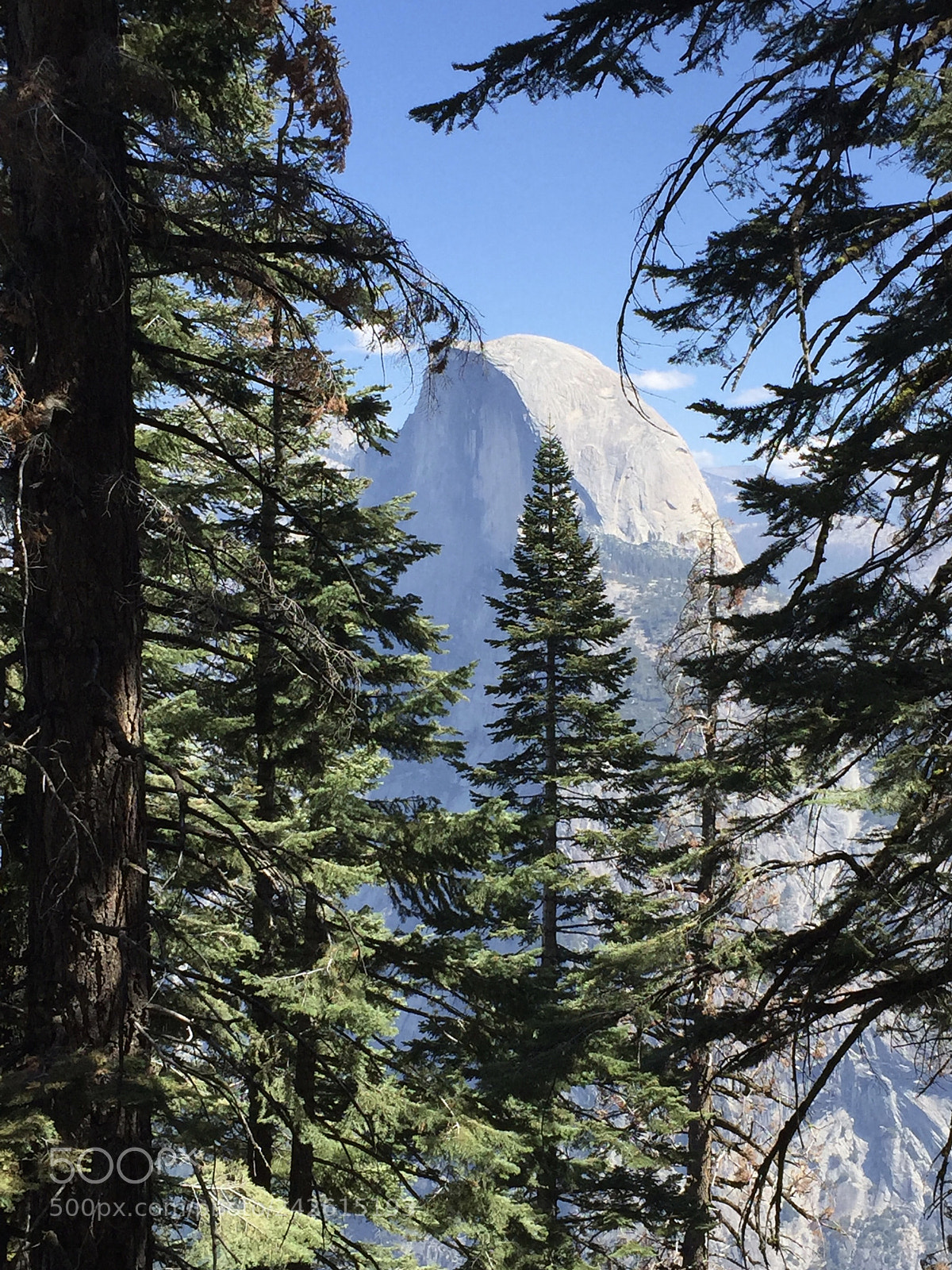 Apple iPhone 6 sample photo. Yosemite - half dome photography