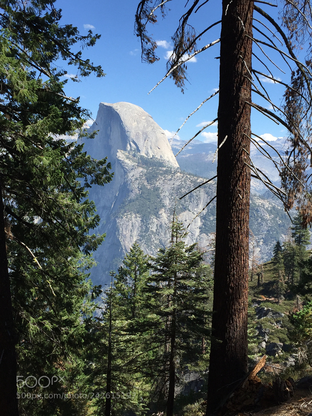 Apple iPhone 6 sample photo. Yosemite - half dome photography