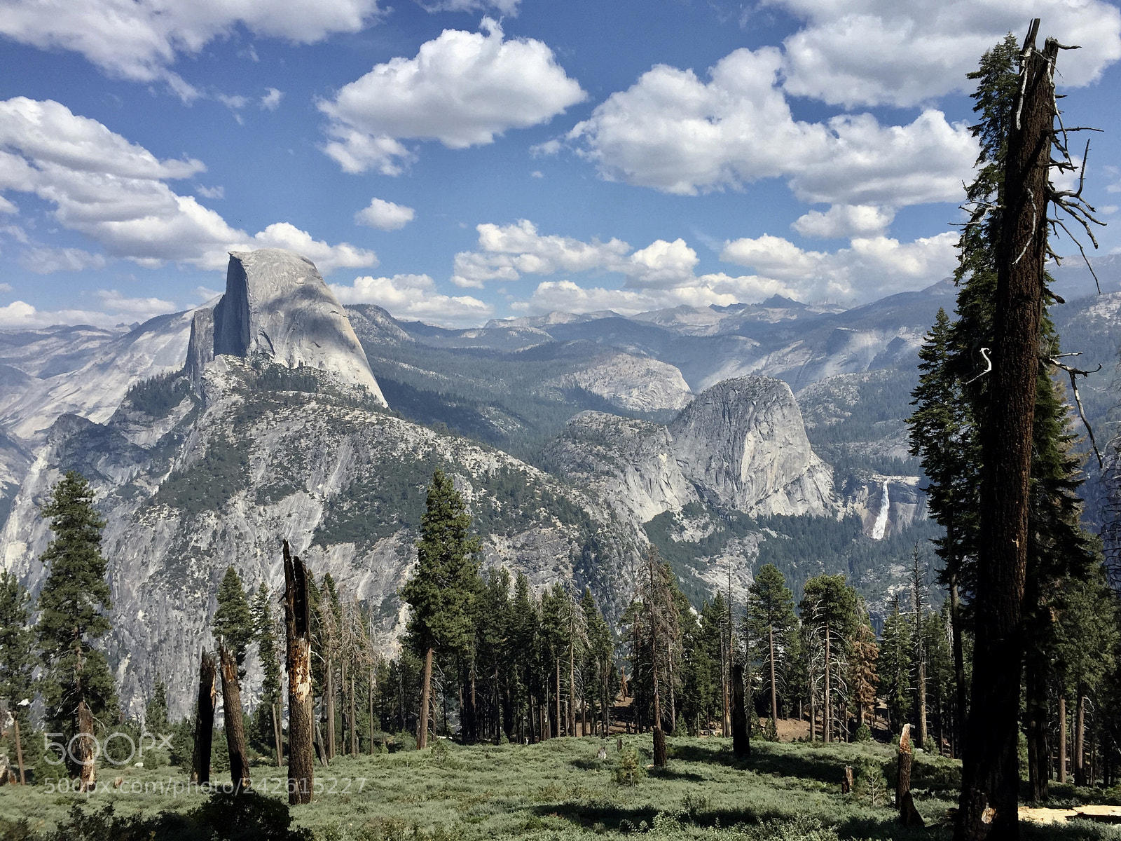 Apple iPhone 6 sample photo. Yosemite - panorama trail photography