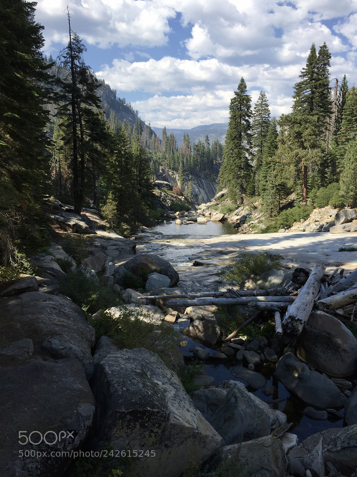 Apple iPhone 6 sample photo. Yosemite - panorama trail photography