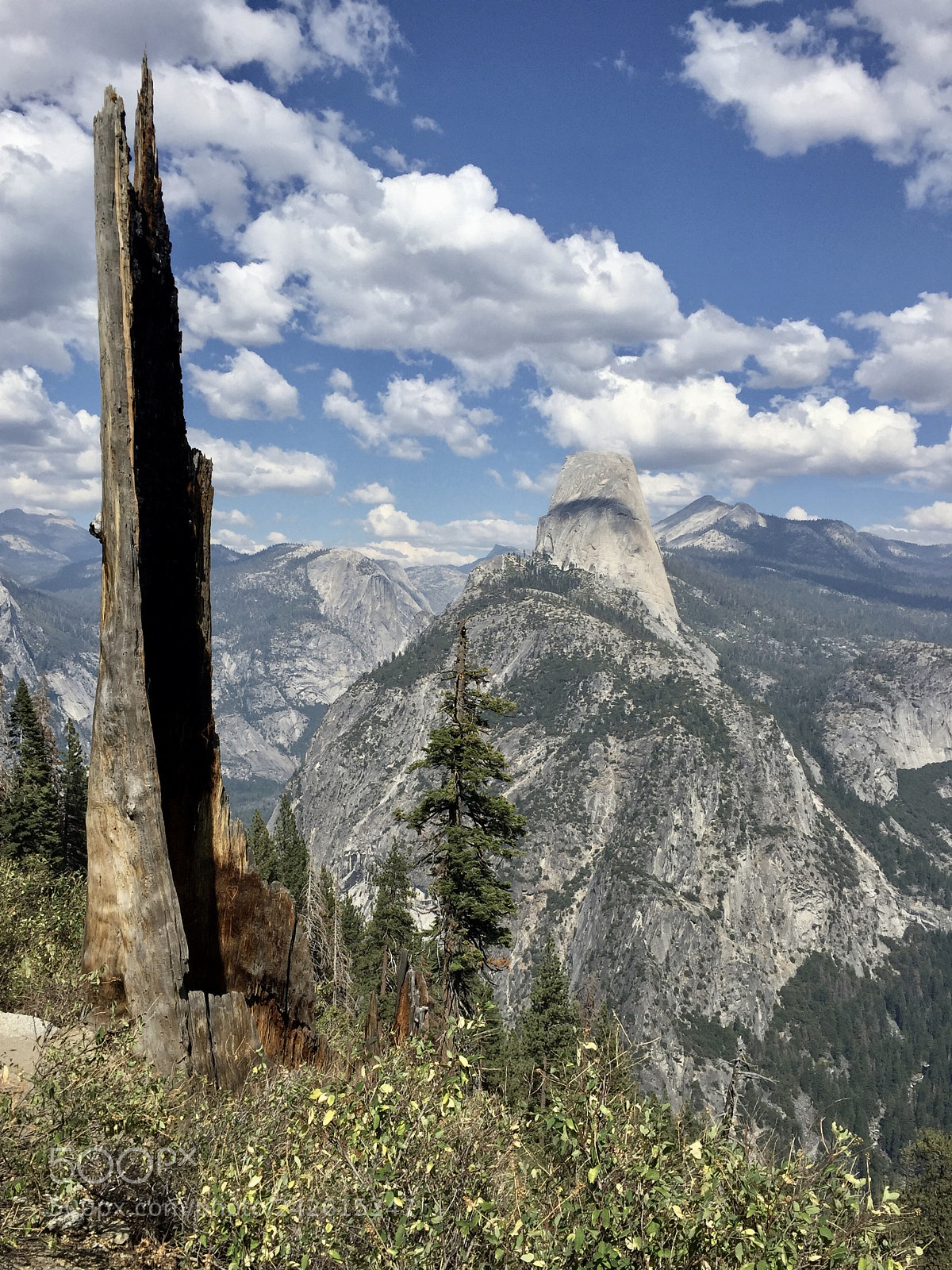 Apple iPhone 6 sample photo. Yosemite - panorama trail photography