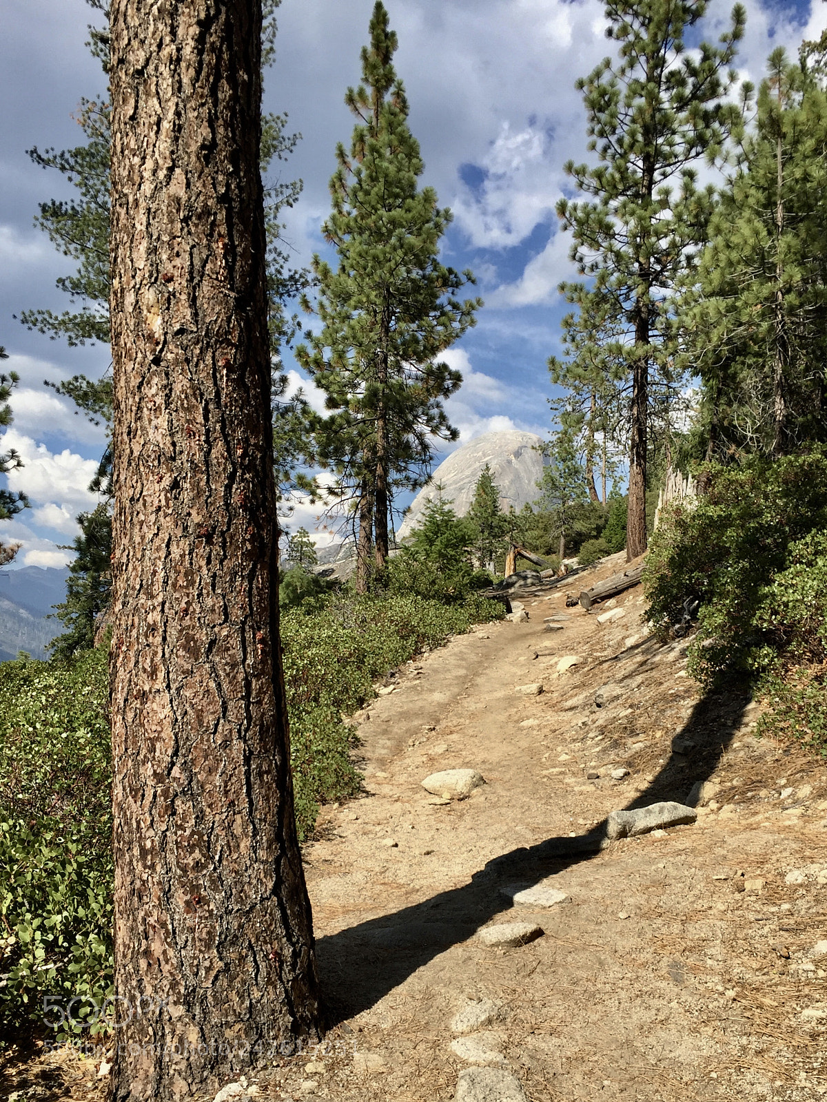 Apple iPhone 6 sample photo. Yosemite - panorama trail photography