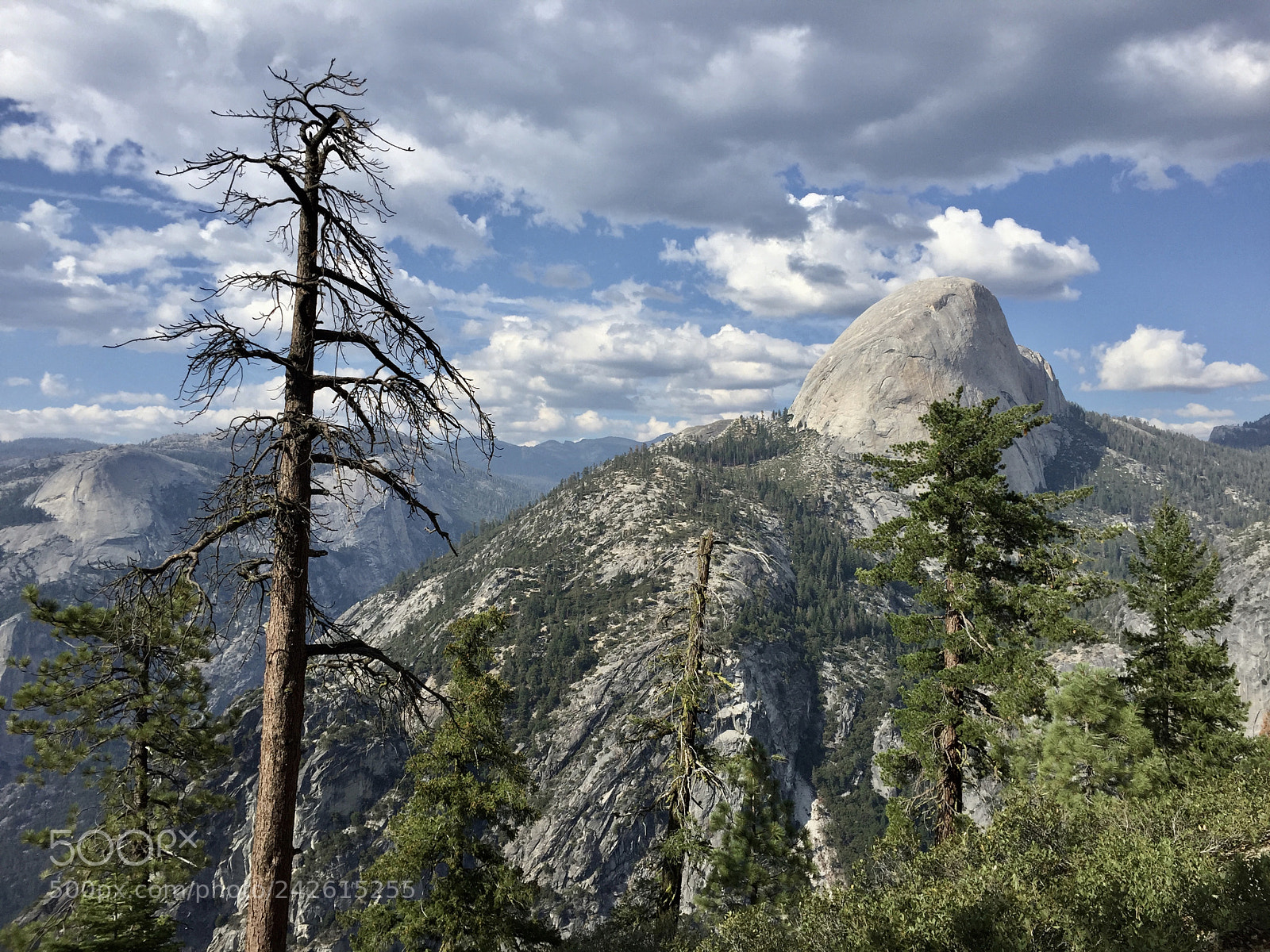 Apple iPhone 6 sample photo. Yosemite - panorama trail photography