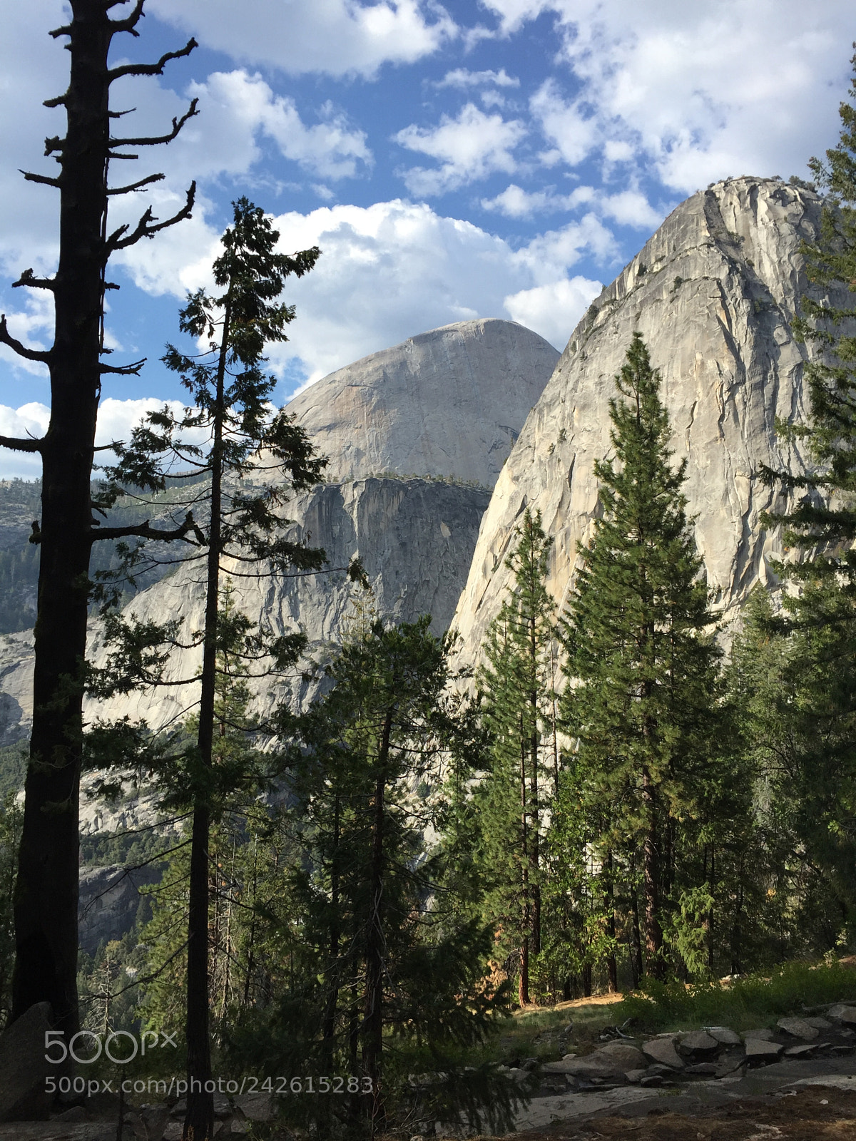 Apple iPhone 6 sample photo. Yosemite - panorama trail photography