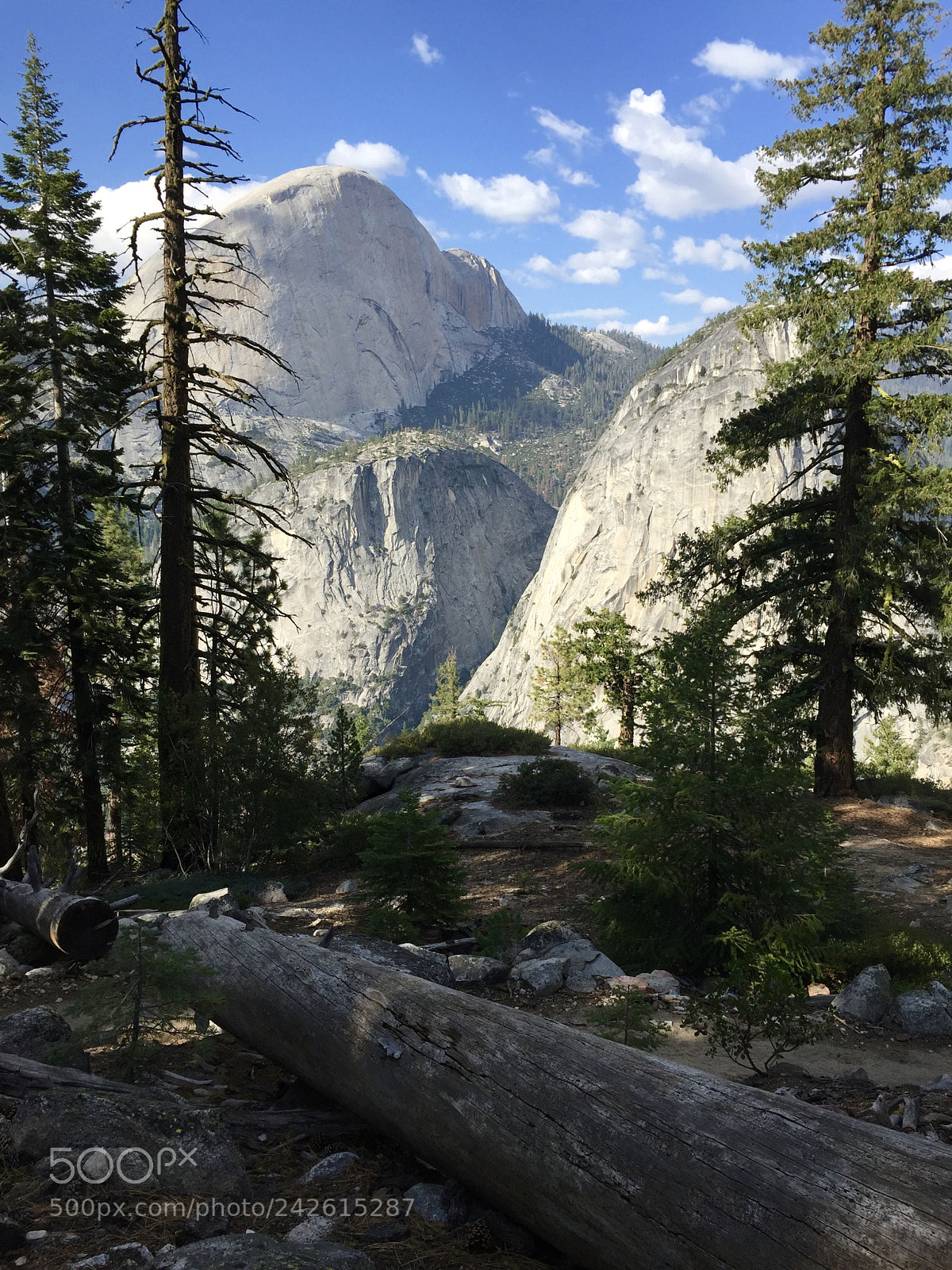 Apple iPhone 6 sample photo. Yosemite - panorama trail photography