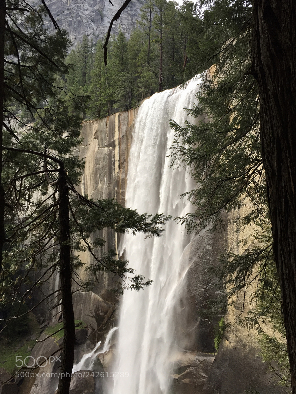 Apple iPhone 6 sample photo. Yosemite - vernal falls photography