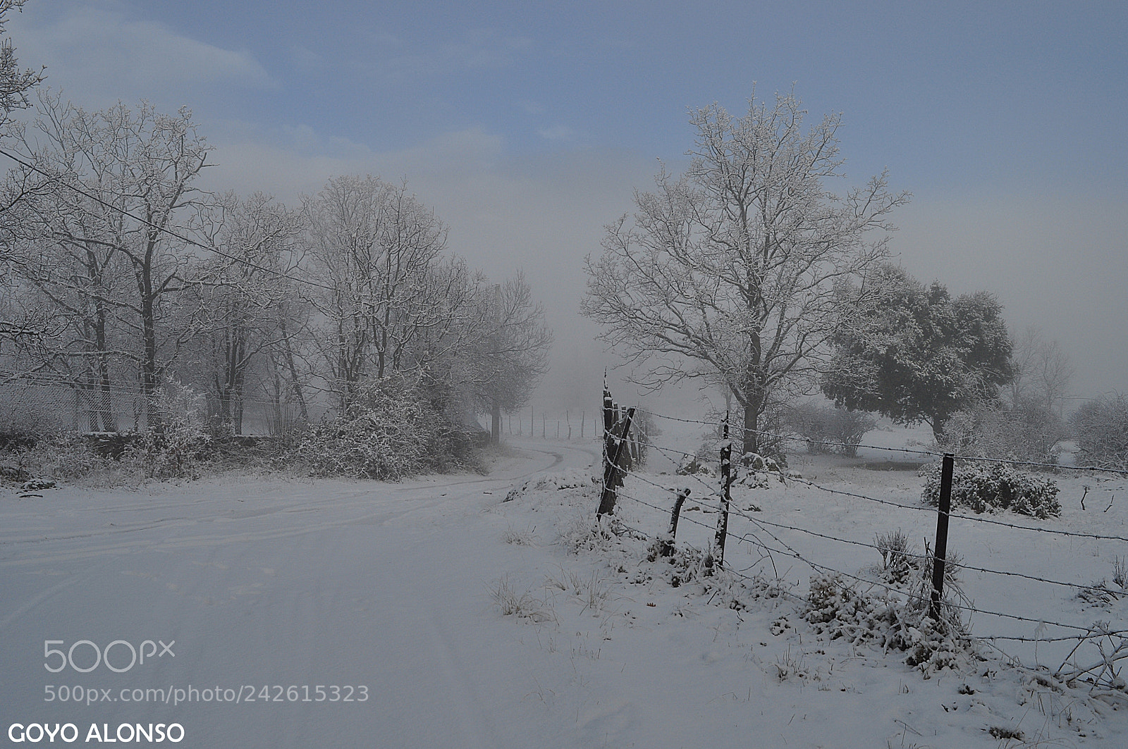 Nikon D5000 sample photo. Pura nieve photography