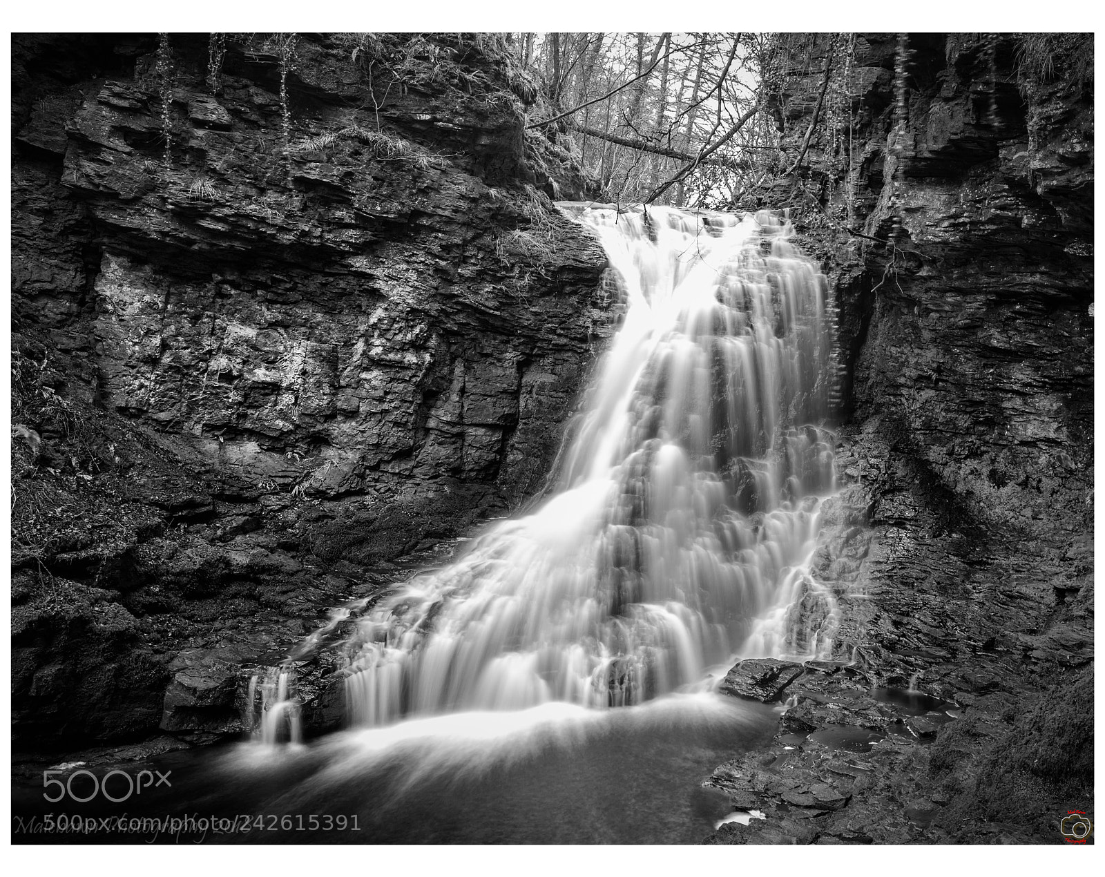 Canon EOS 6D Mark II sample photo. Hareshaw linn photography